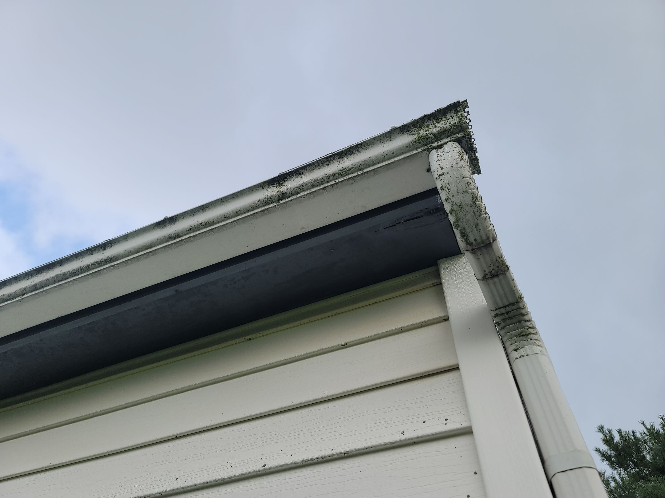 Atlas Pinnacle, Color: Weathered Wood, Drip Edge, Color: Royal Brown by Eagle Eye Roofing