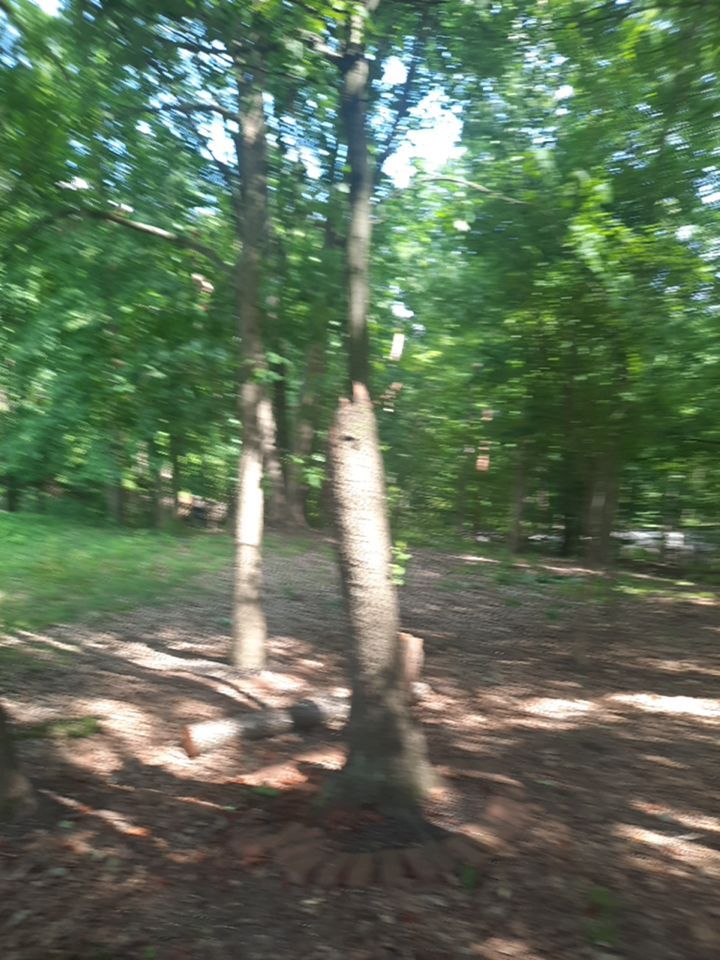 Tree Removal using Tree Removal by Mike Jones & Sons Tree Service LLC 