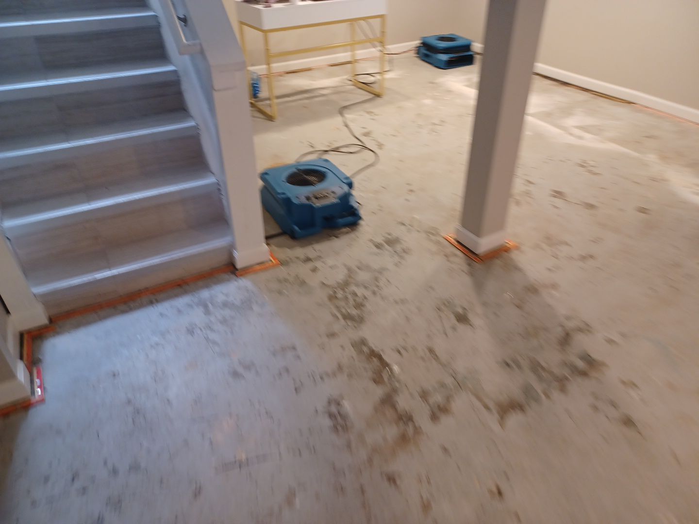 Project in Royal Oak by EzDry Water Mitigation & Property Restoration