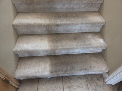 Carpet Cleaning in Rancho Murieta