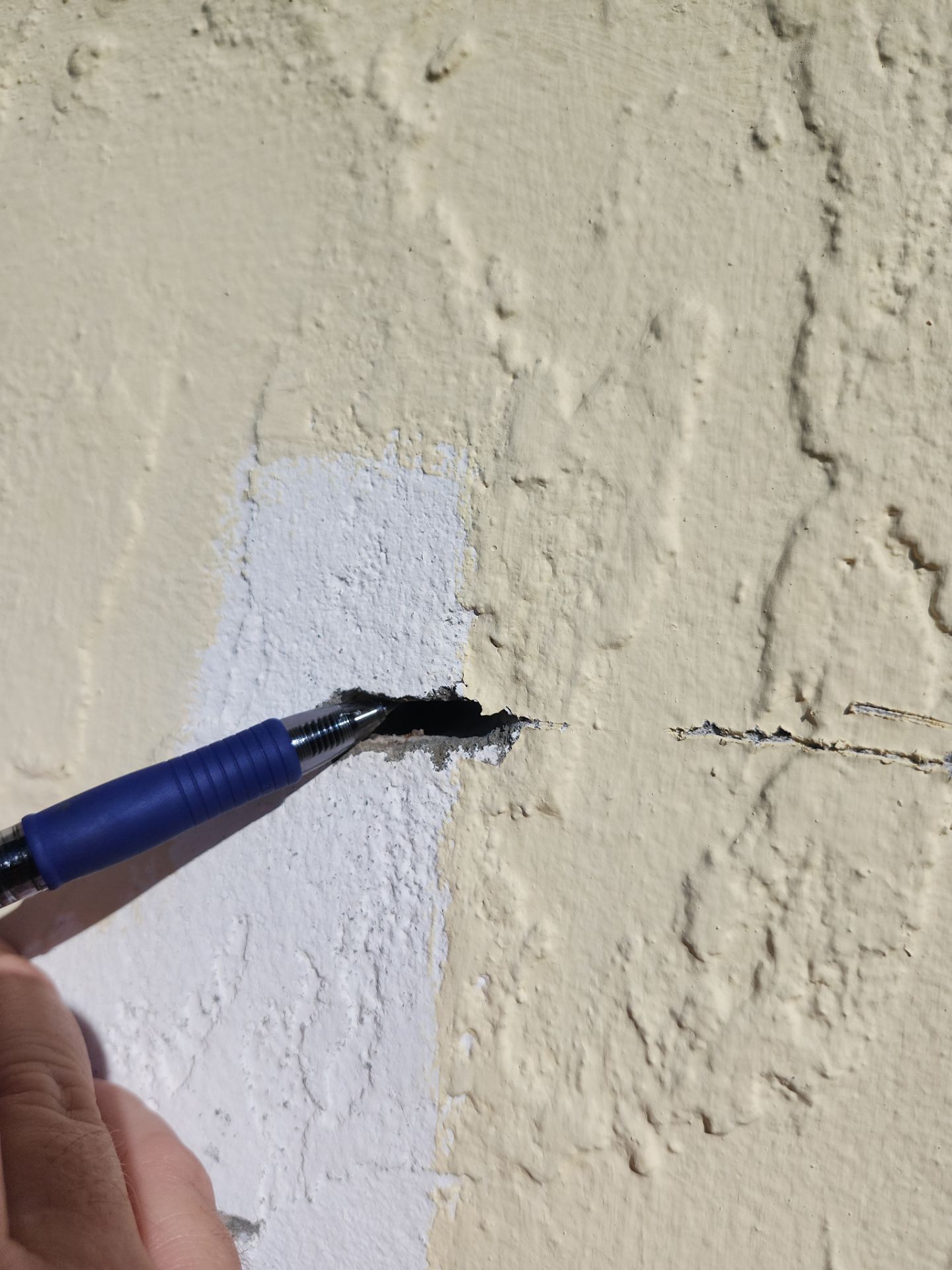 Project in Sarasota by Sunbelt Home Solutions