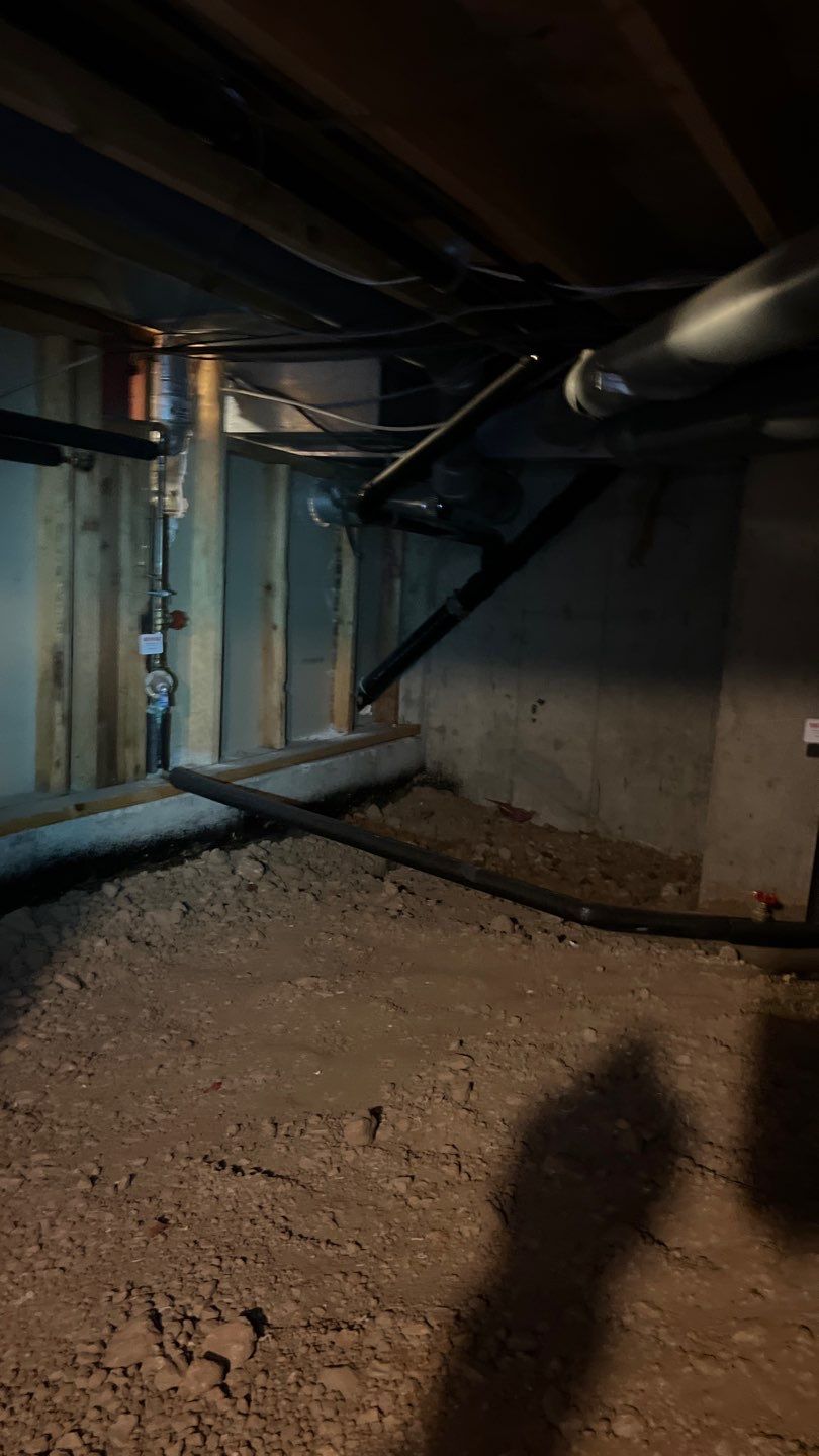 Mold Damage by Accountable Home Services