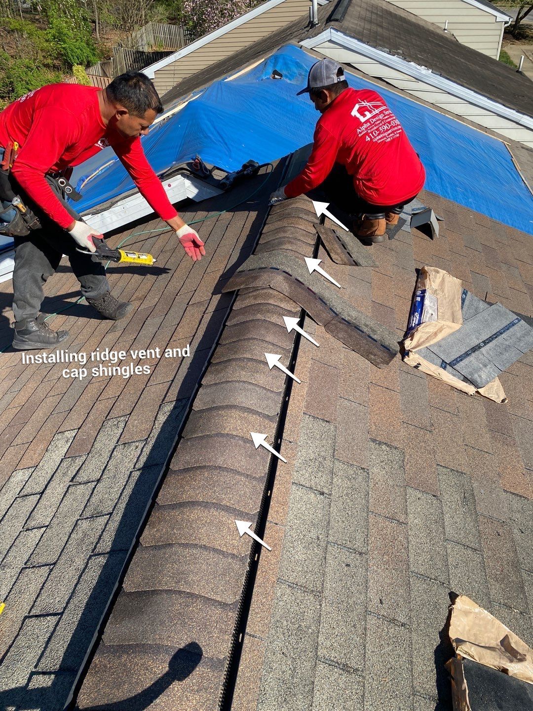 Roof Repair  by Alpha Design Services