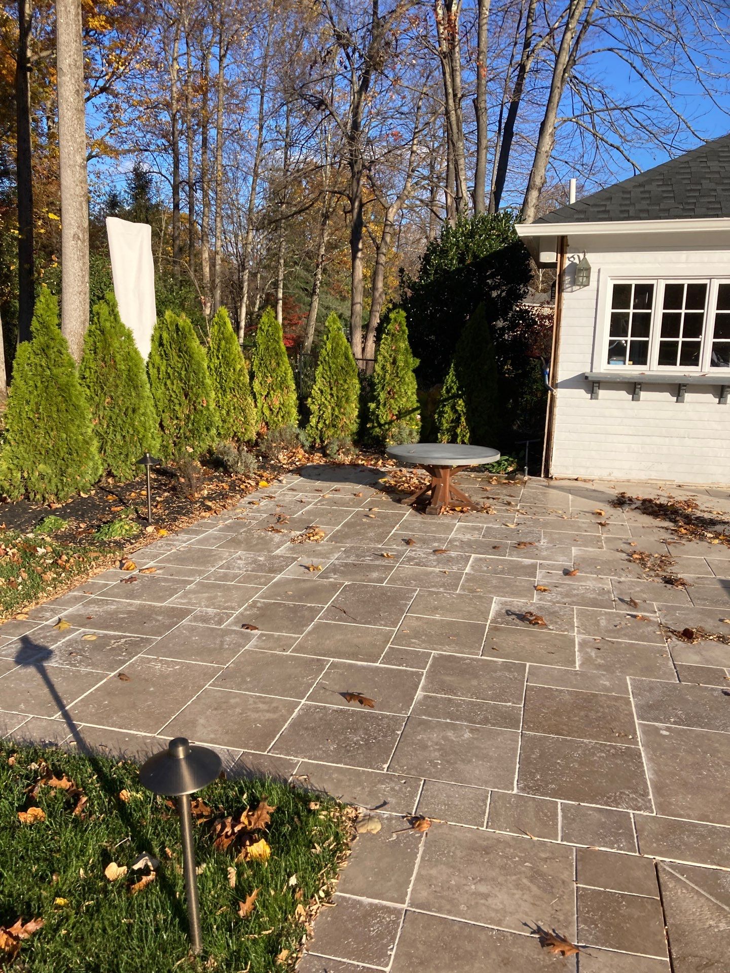 Comprehensive Lawn Care in Warren by Ants Plants
