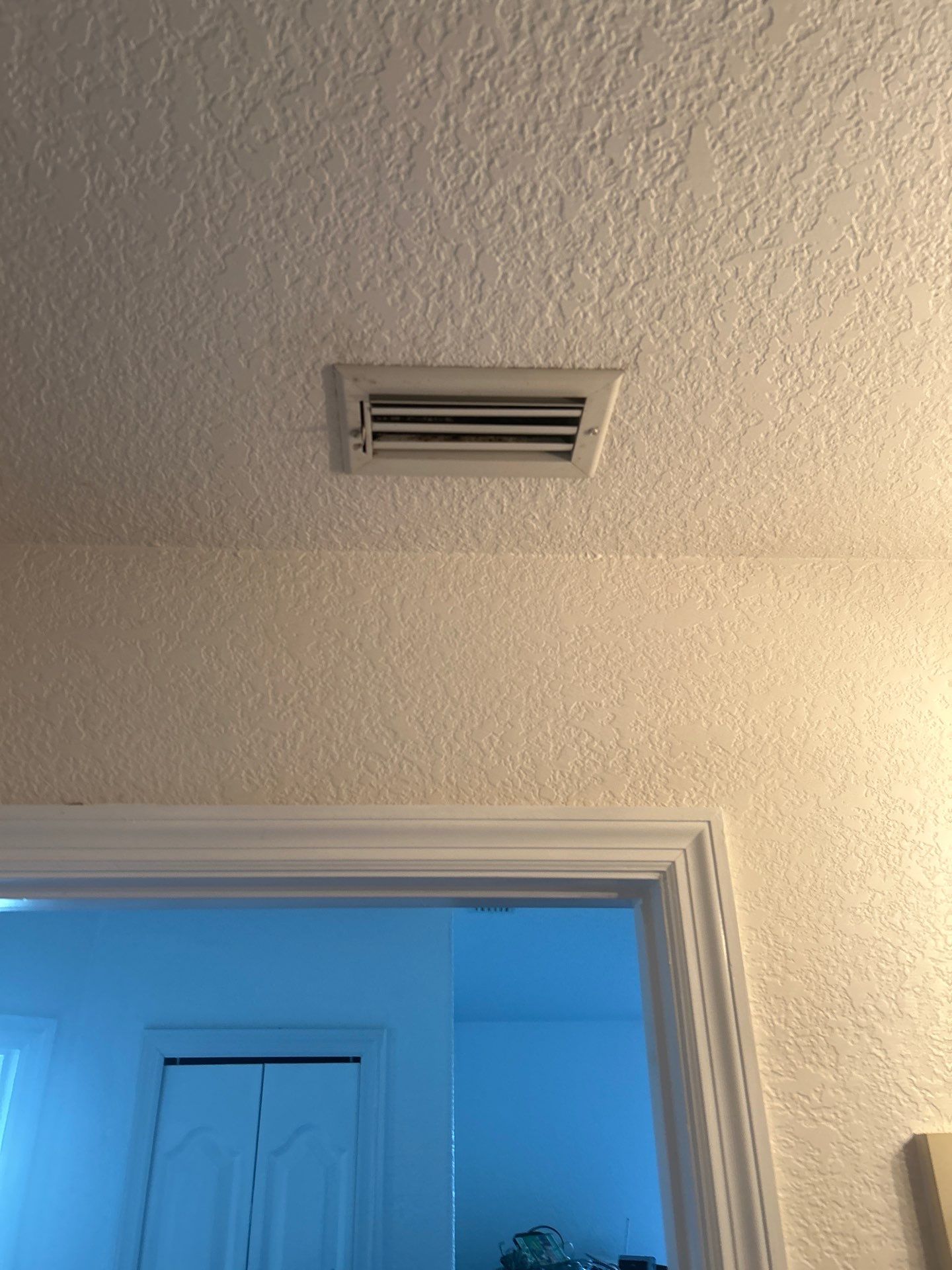 Mold Removal In North Port by Ampm Restoration Services