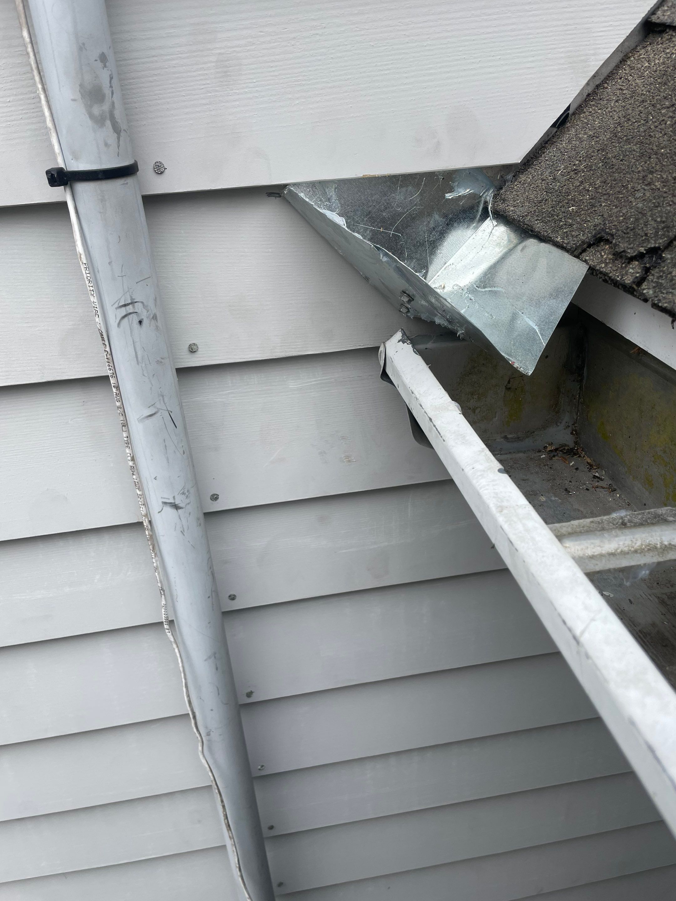 Exterior Painting & Carpentry Repairs by EXCELLENCE | CARTO