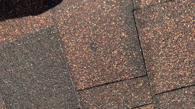 Turtle Shell gutter protection installation in Villa Park, IL 60181, photograph 8
