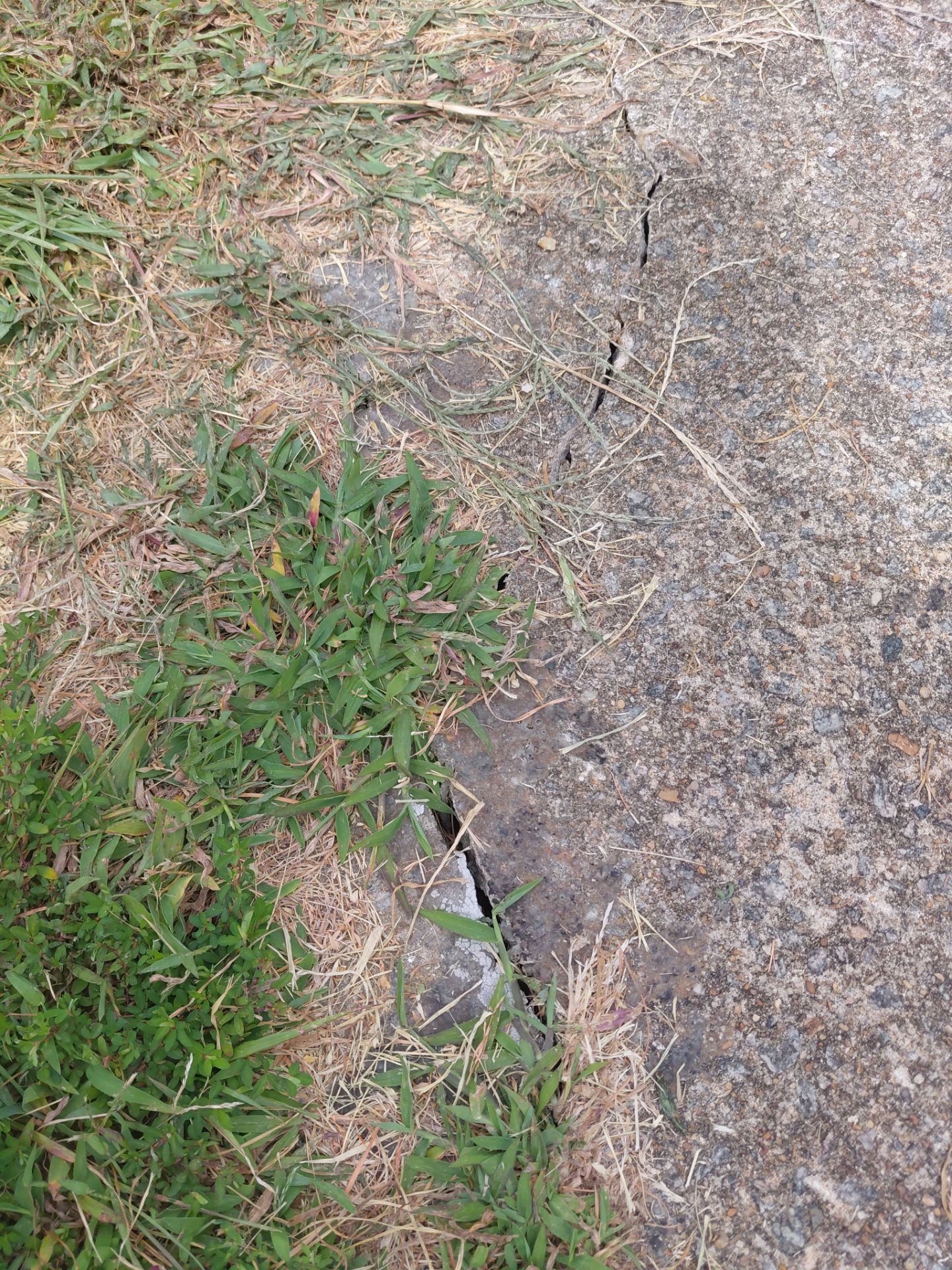 Alexandria :Residential Roof Replacement with CertainTeed Landmark Pro in Max Def Cobblestone Gray by RM Banning, Inc.