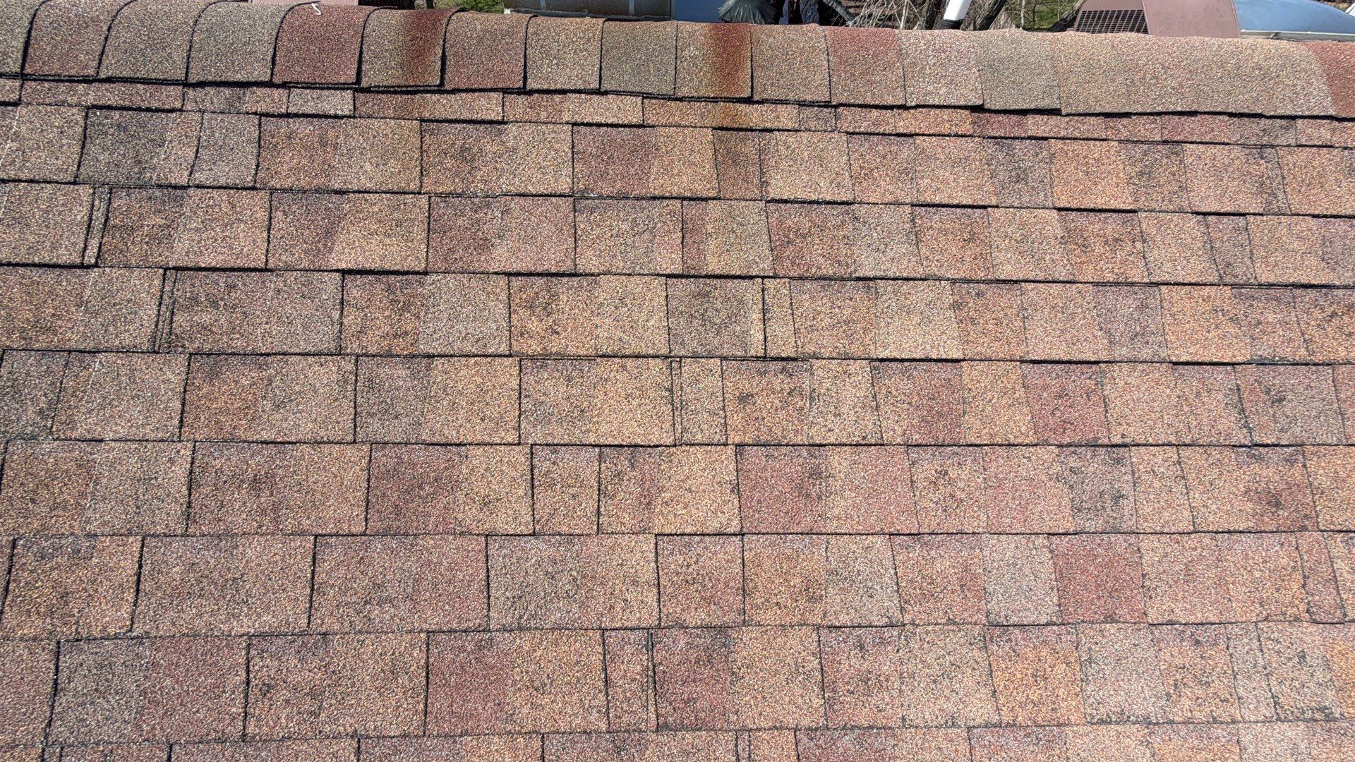Blakc Oak Vista roof  by Pro Home Services Inc