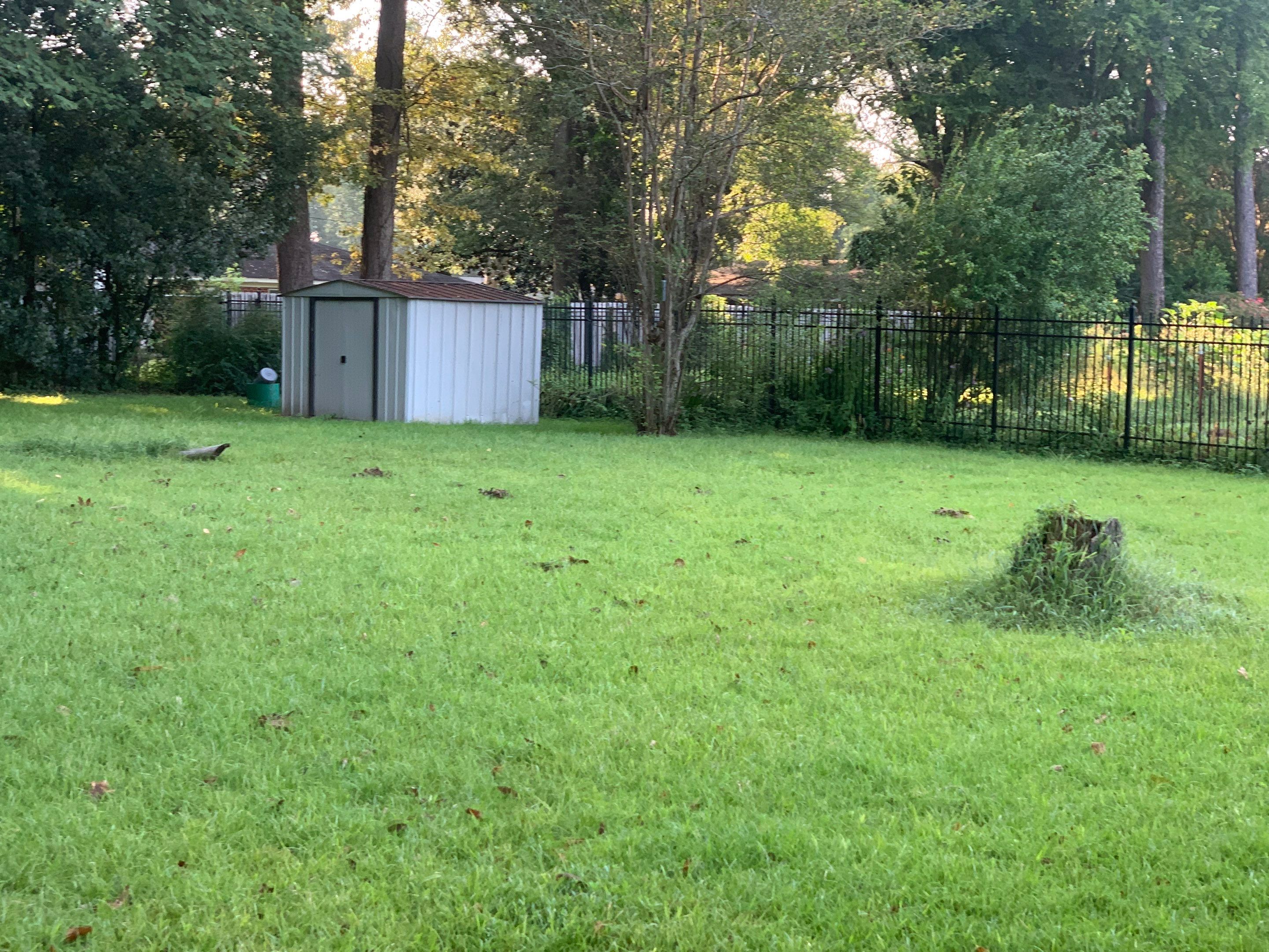 Yard Makeover by College Bros Outdoor services