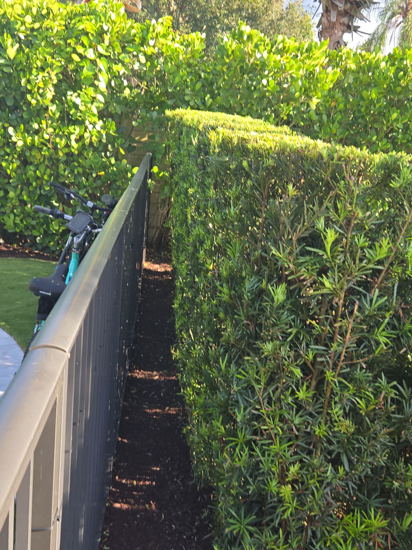 Hunter’s Club Revival – Precision Care Meets Palm City Prestige by Alpha Zeta Enterprises Inc