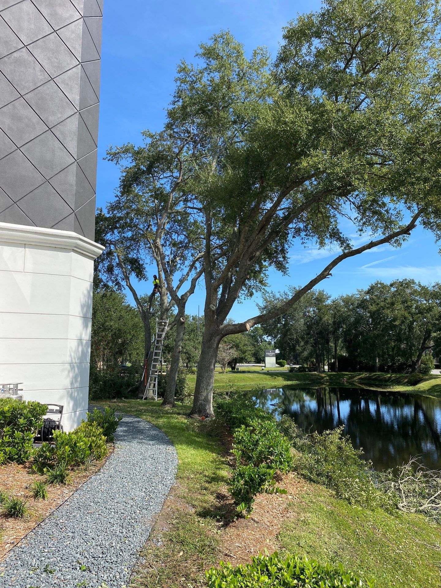 Tree & Shrub Removal | Marriott Hotel by ProGreen Services