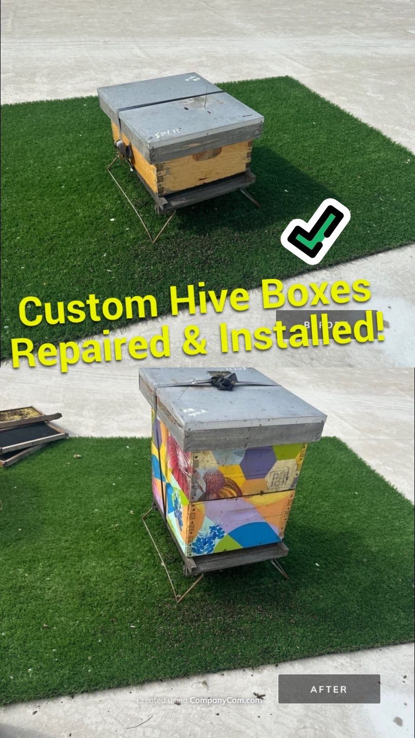 Downtown Dallas by Rockwall Honey Bee Company