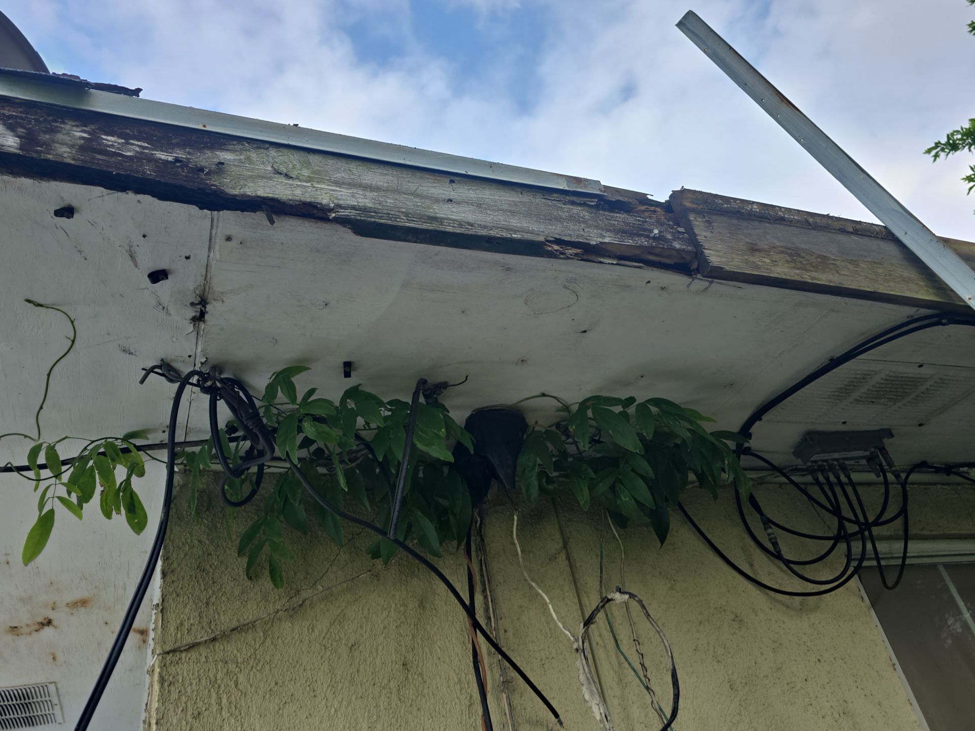 Roof Replacement Deer Park by Roof Repair Company