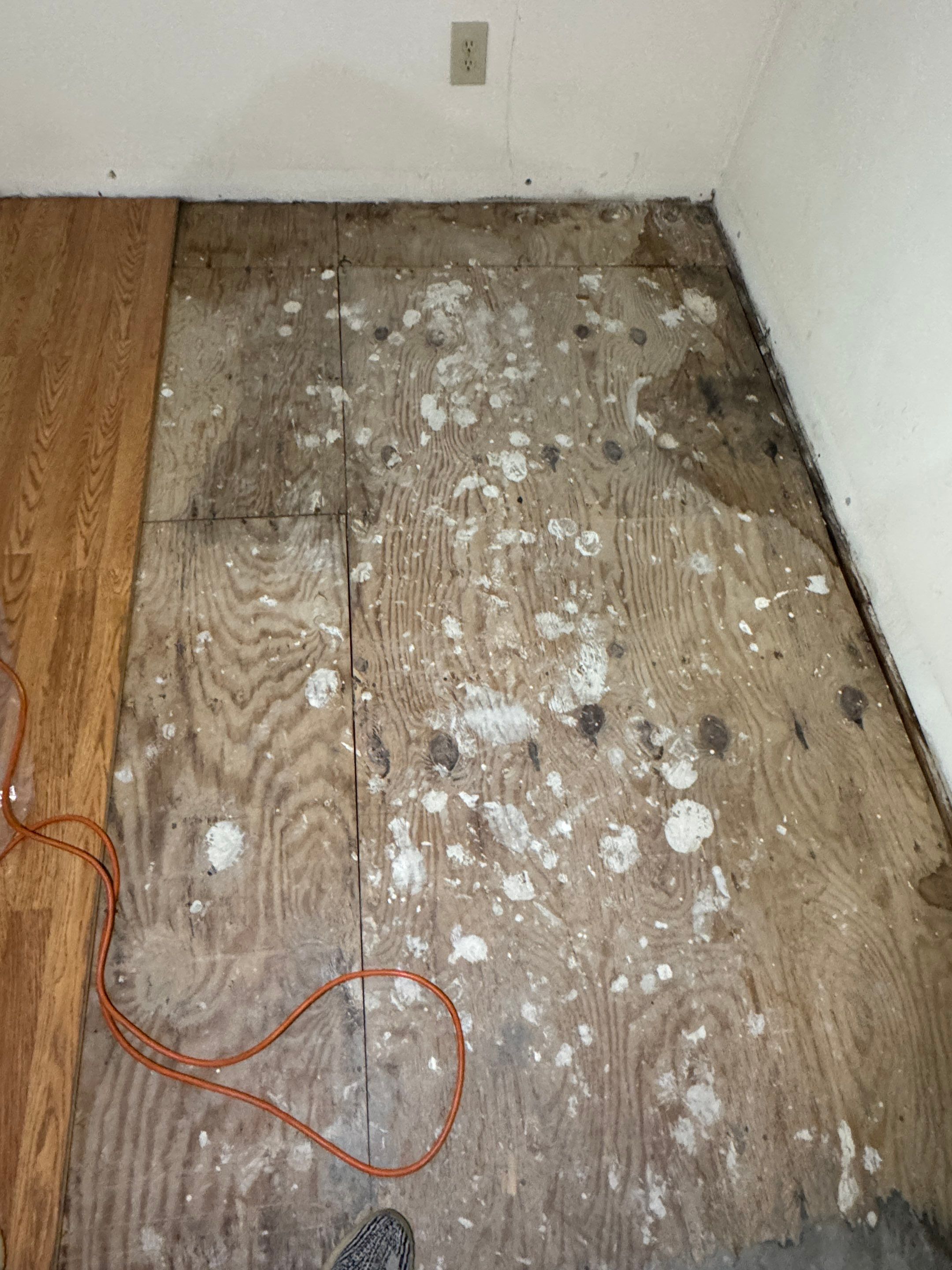 Water Damage Claim in Doylestown by FLAPA & KeyStone
