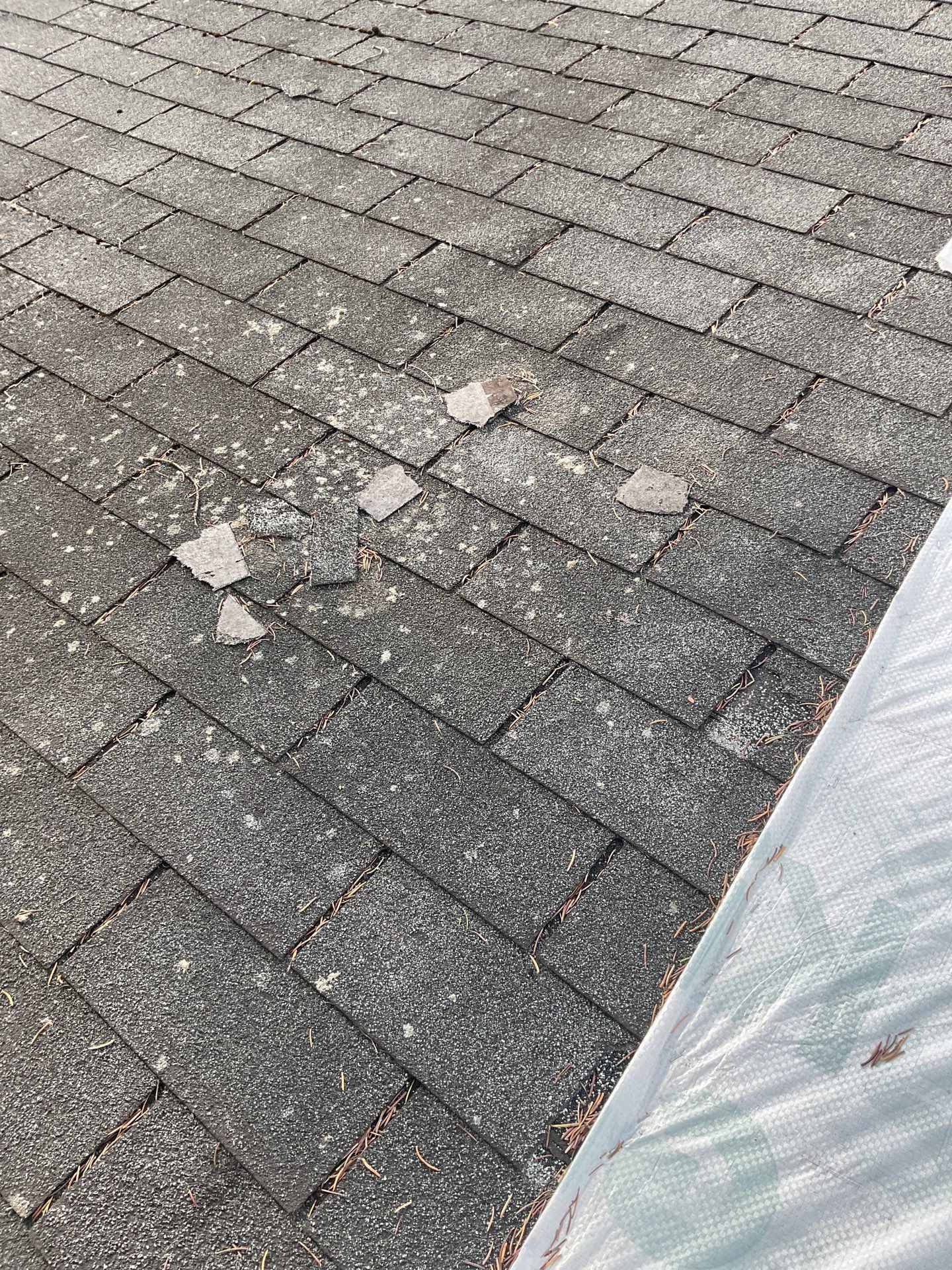 Roof Replacement using CertainTeed Landmark by 180 Contractors