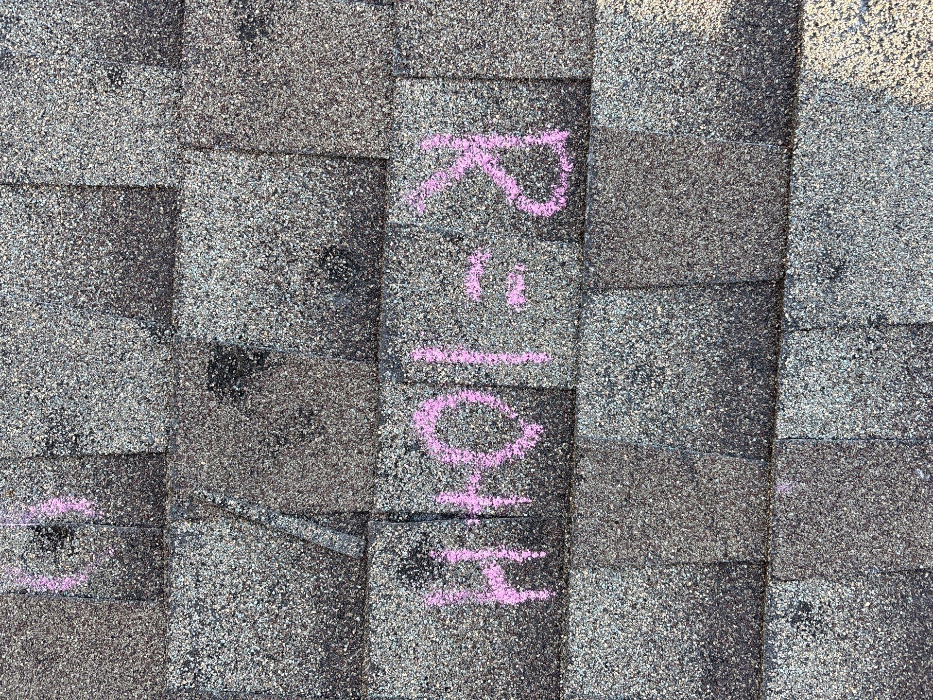 DAN L by Boss Hogg Roofing