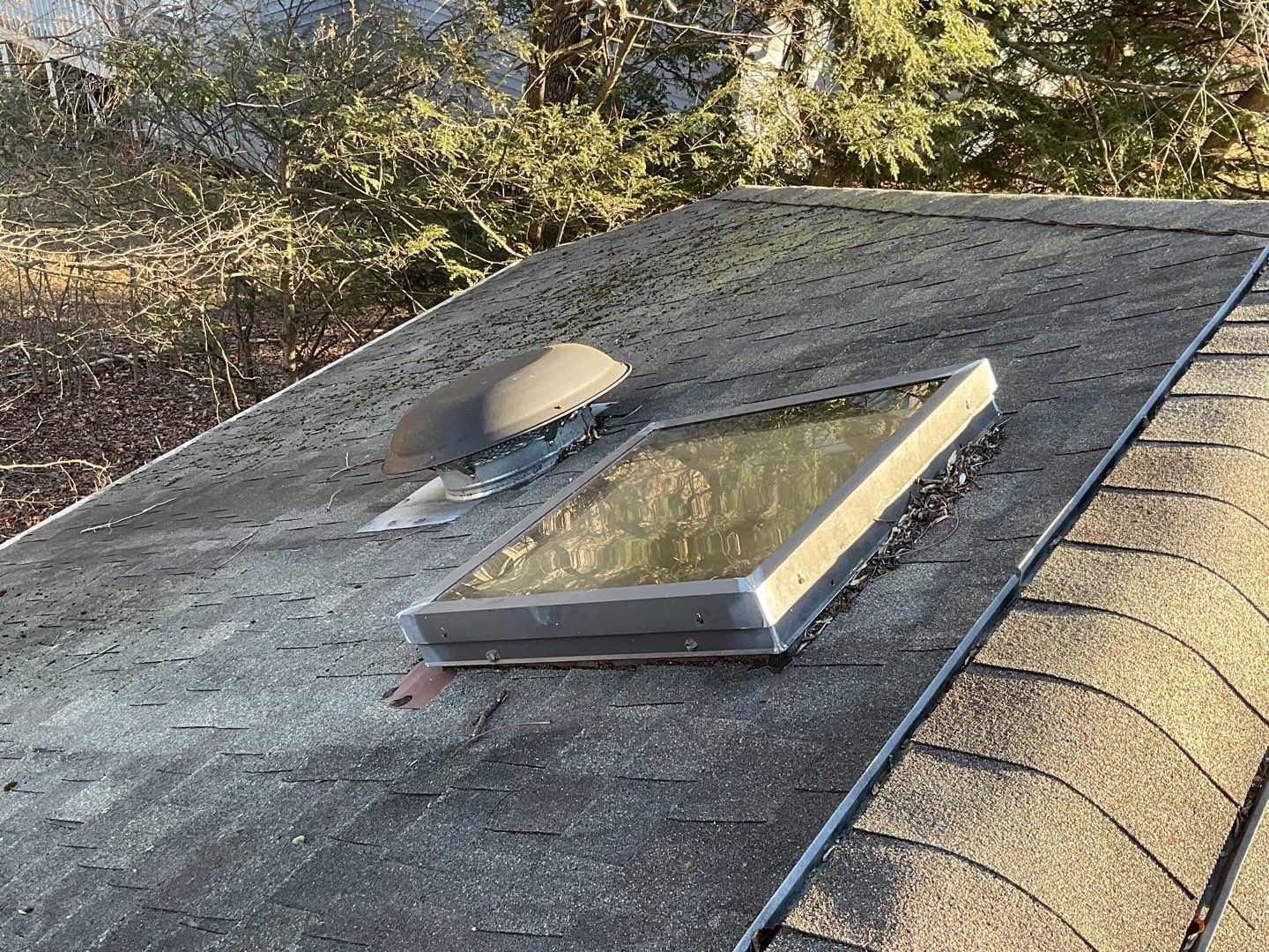 Install new shingles and new skylights  by Alpha Design Services