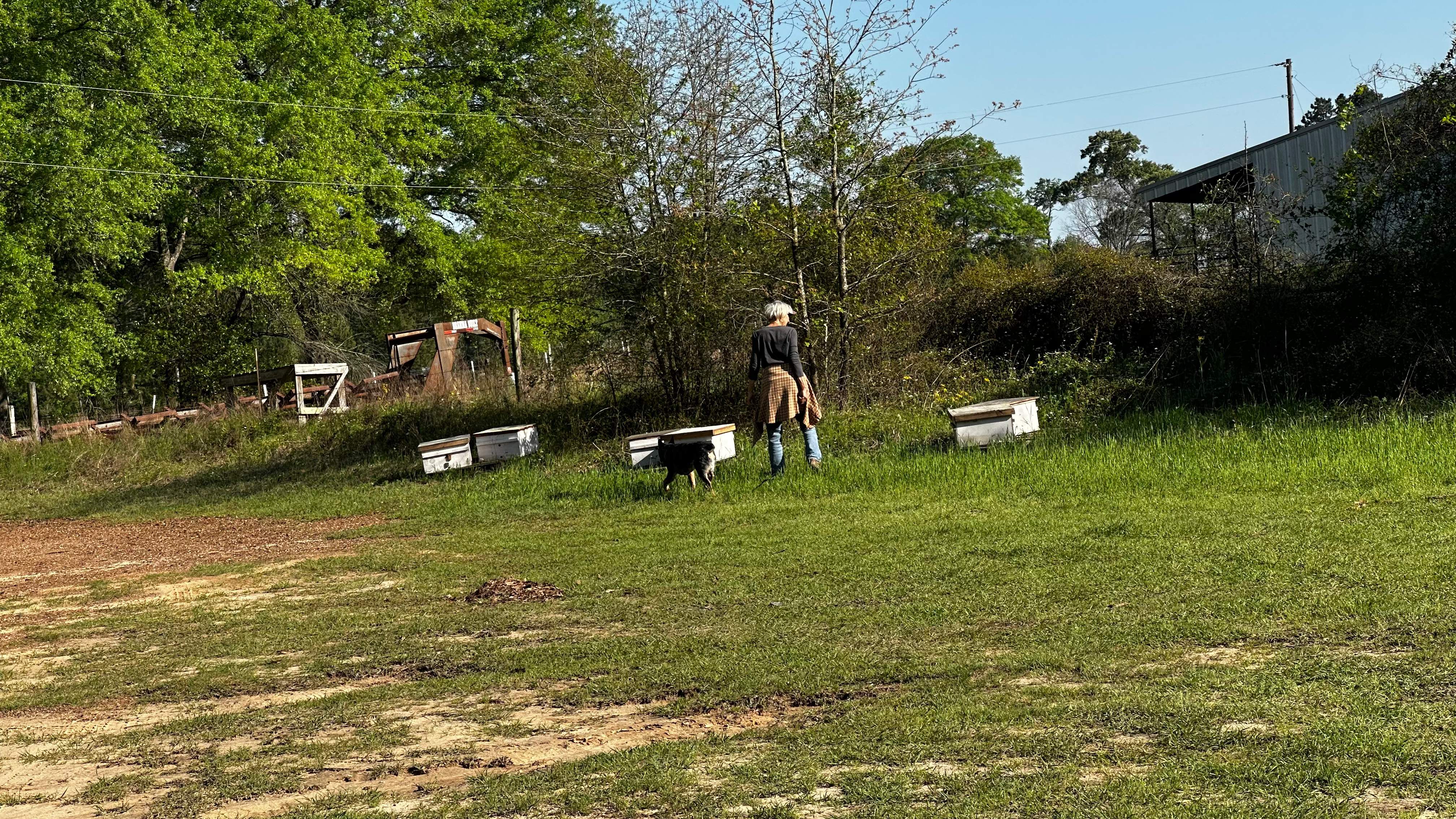 BeeGirl ETX HQ by Rockwall Honey Bee Company