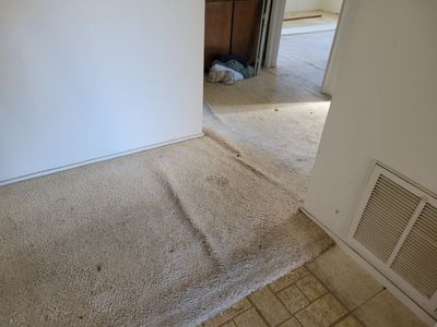 Carpet Re-stretching & Cleaning in Rosemont