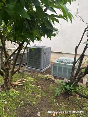 Project in Essex Fells