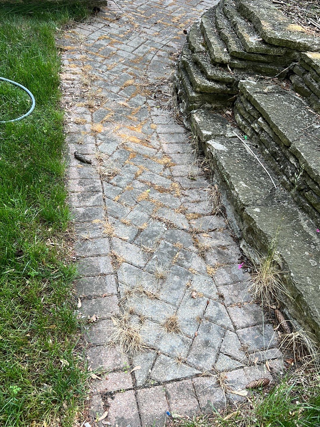 Brick paver clean, sand and seal. using Surebond SB-1300 by Northern Power Washing LLC.
