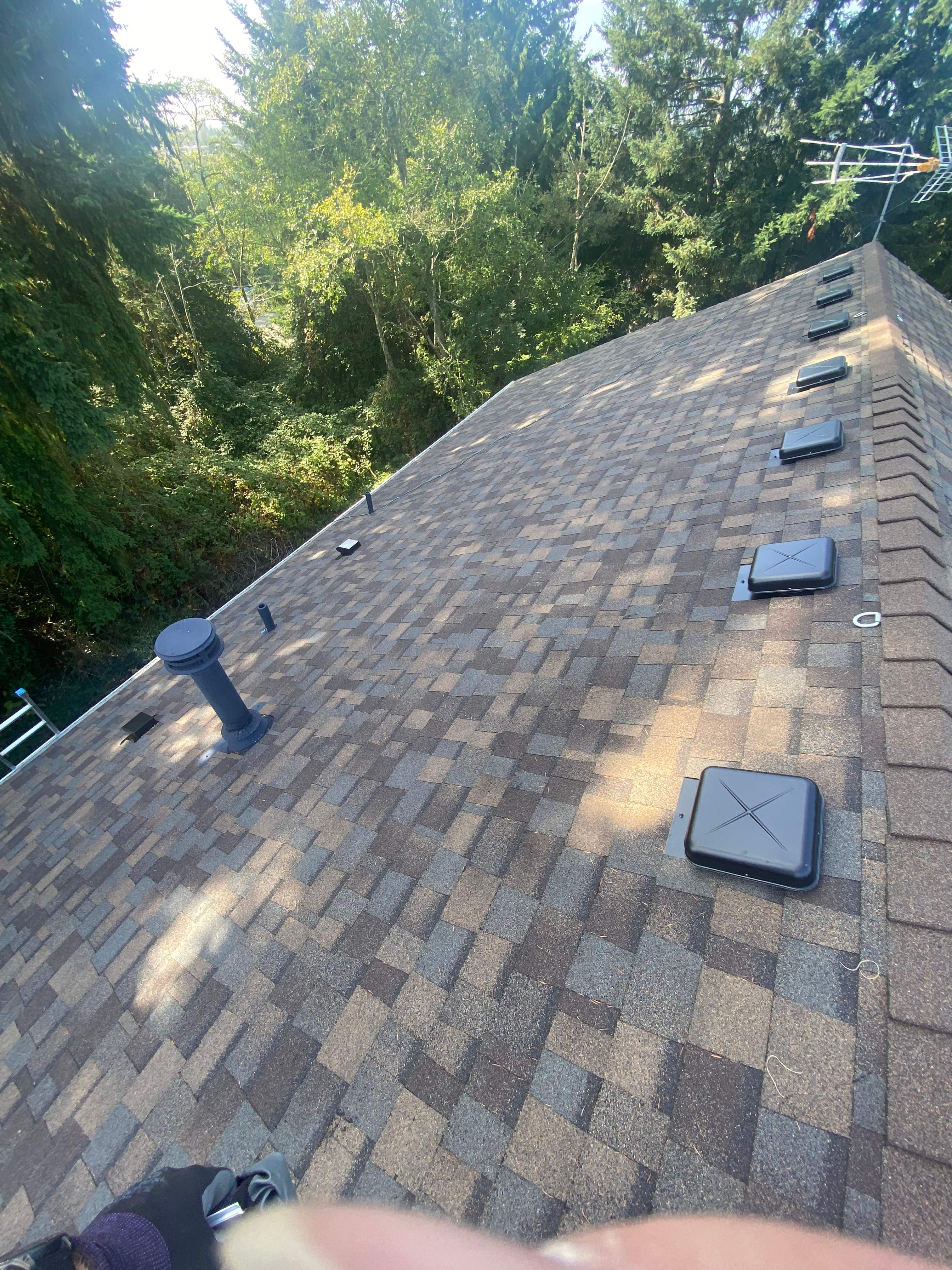 Everett Dave by RoofWorks Northwest