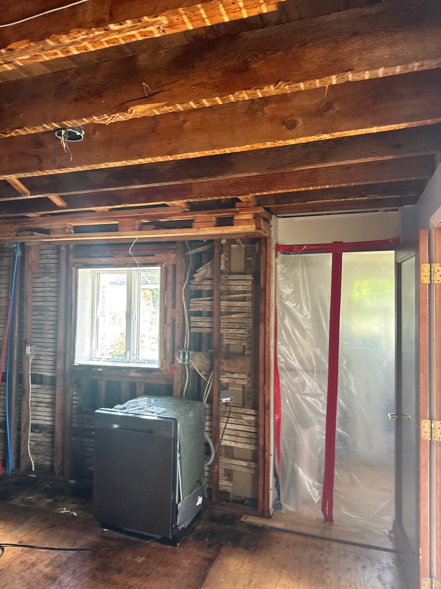 Comprehensive Mold Remediation and Kitchen Restoration in East Islip by Newhouse Restoration