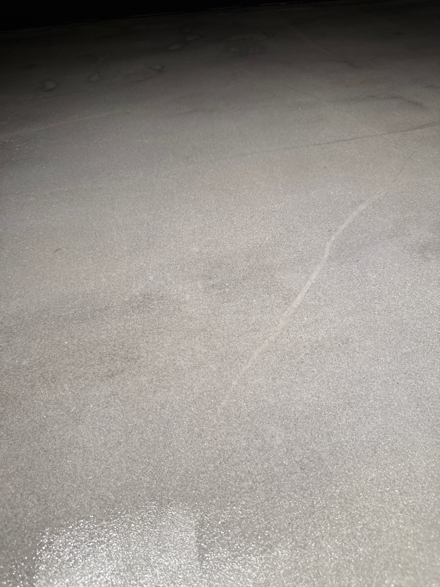 Grind off 20 layers of Paint Project in Pittsburgh by Floors in a Day, Inc