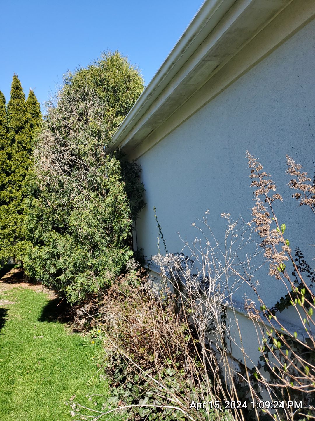 dryvit using Algaecide, soft wash soap by Northern Power Washing LLC.