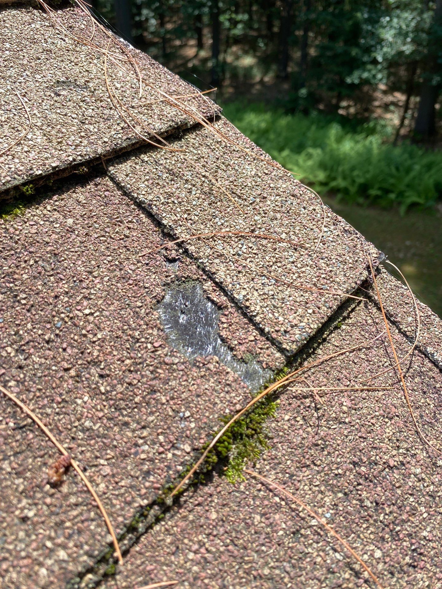 Roof Replacement – Rosalie Brown, MA by Mighty Dog Roofing of Greater Middlesex County