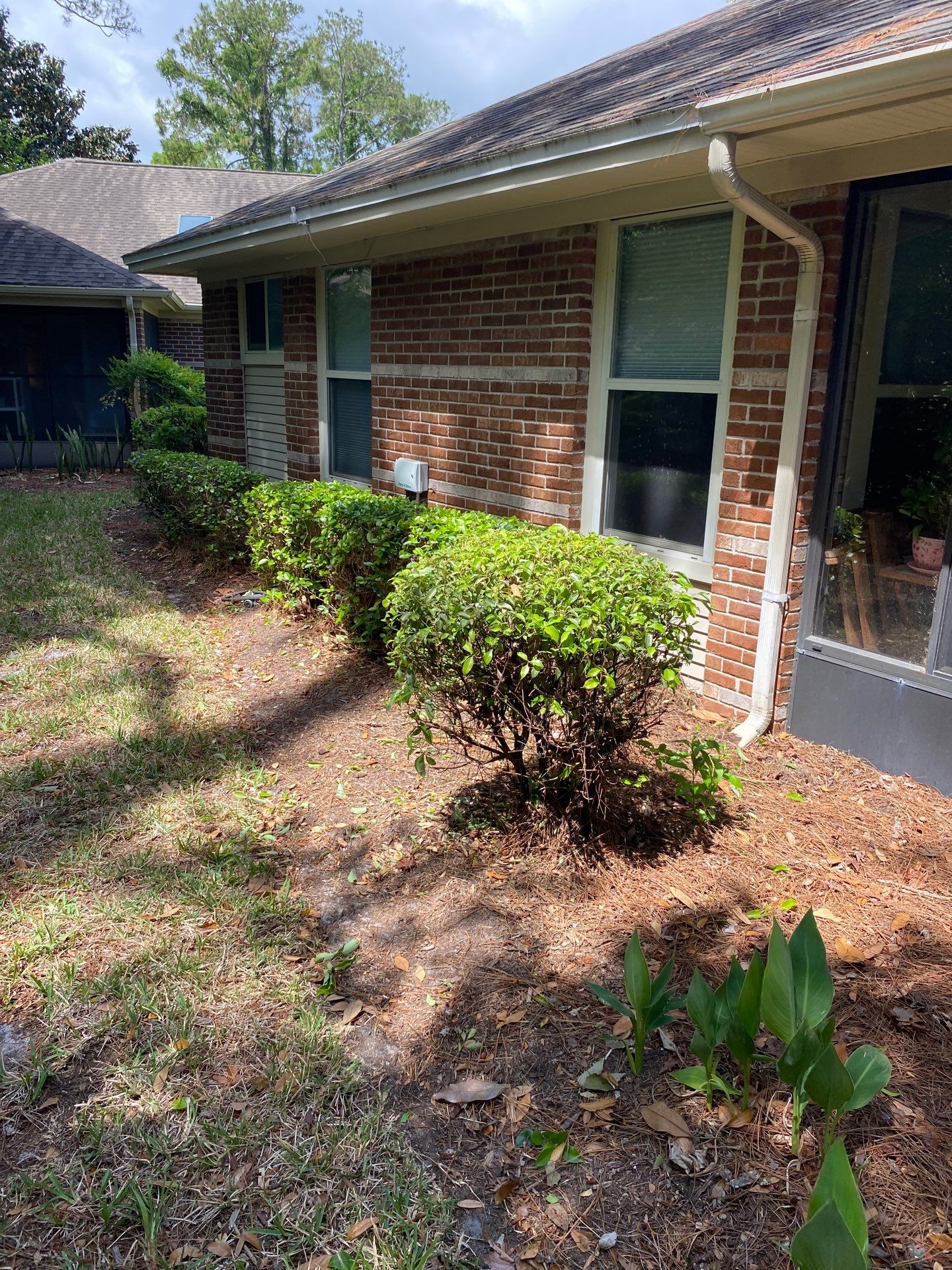 Residential | Volunteer Clean-Up by ProGreen Services