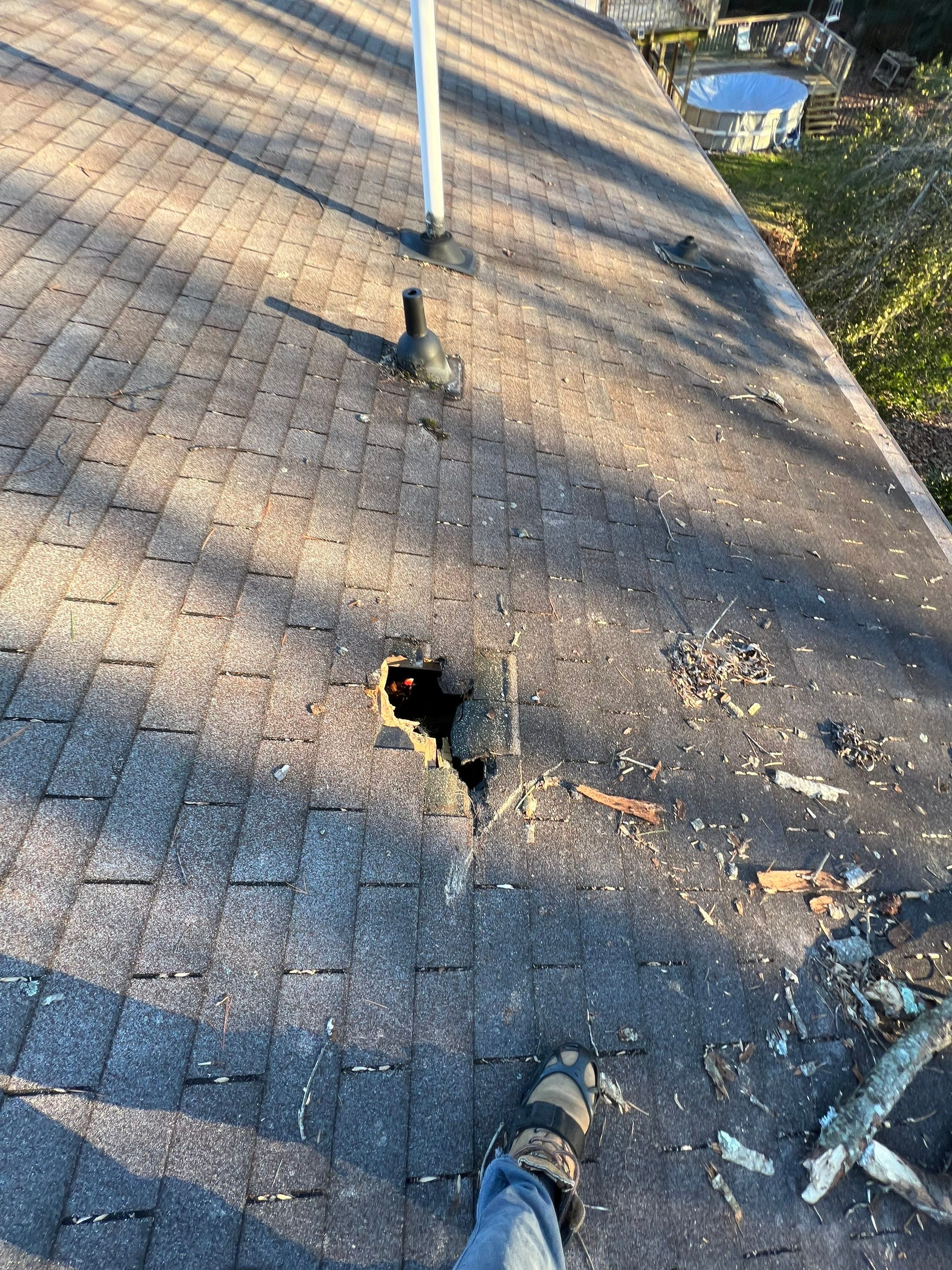 Manassas: CertainTeed Landmark Designer Shingles in Charcoal Black by RM Banning, Inc.