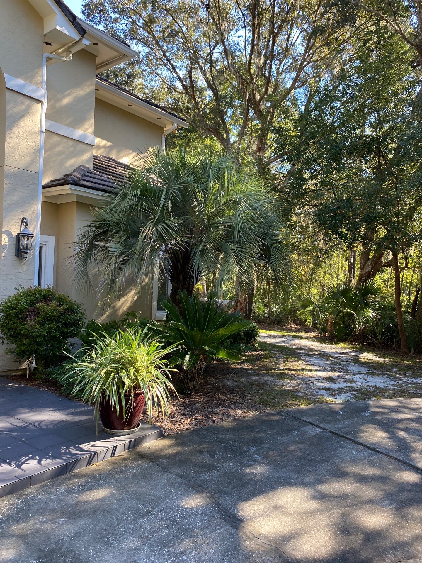 Deerwood Residence | Tree Work by ProGreen Services
