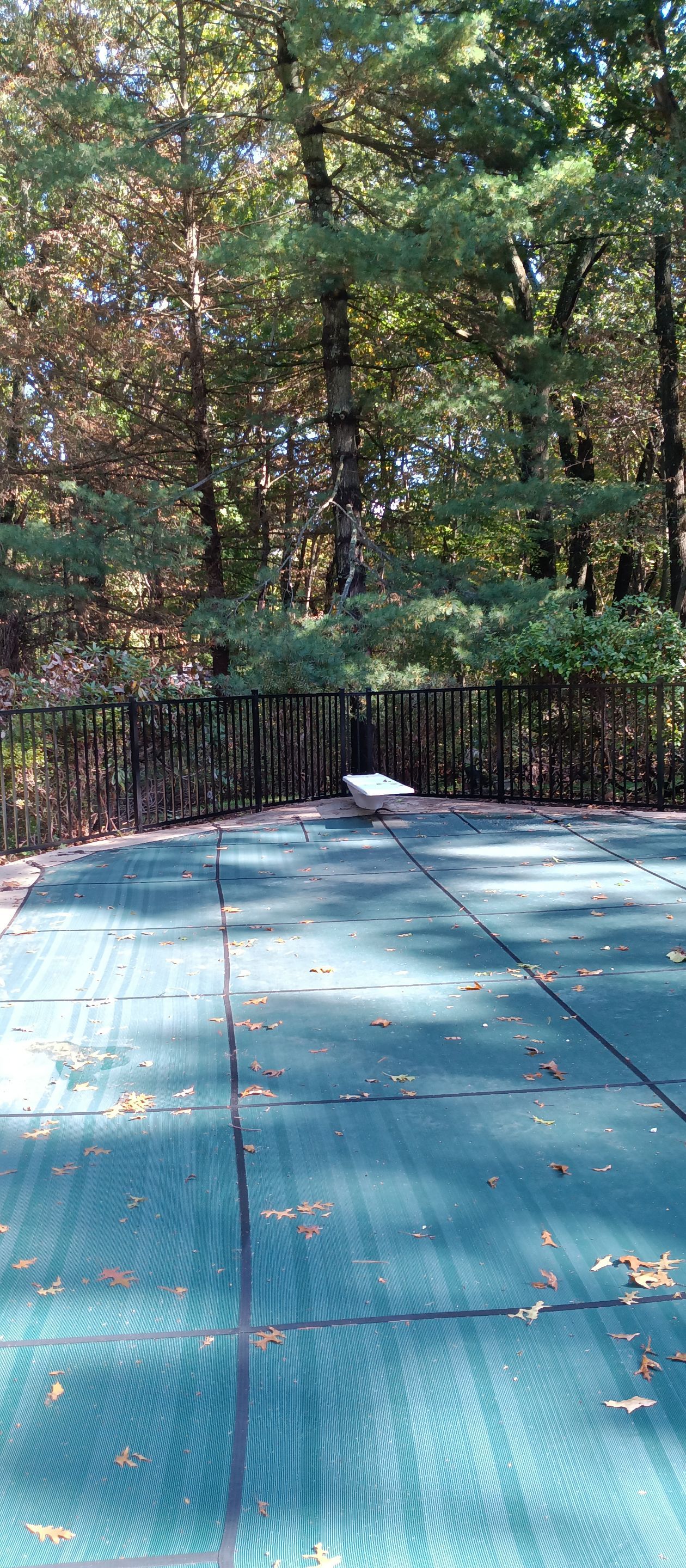 Replacement Aluminum pool fence with matching gate in Black by DiGiorgi Roofing and Siding Inc