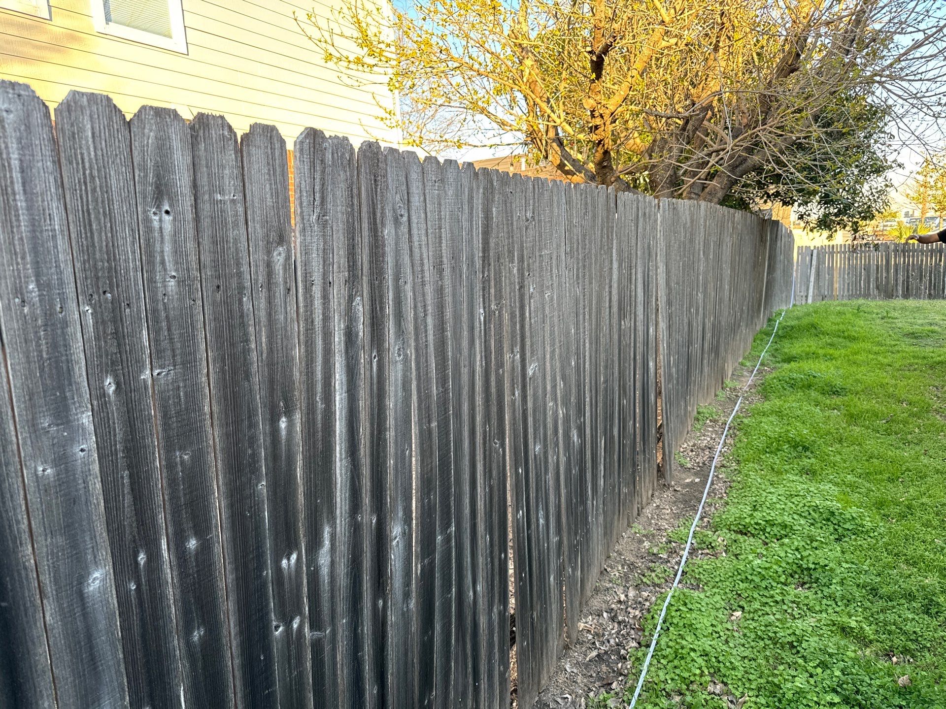 Custom Cedar Privacy Fence in Hutto by Rhino Home Care