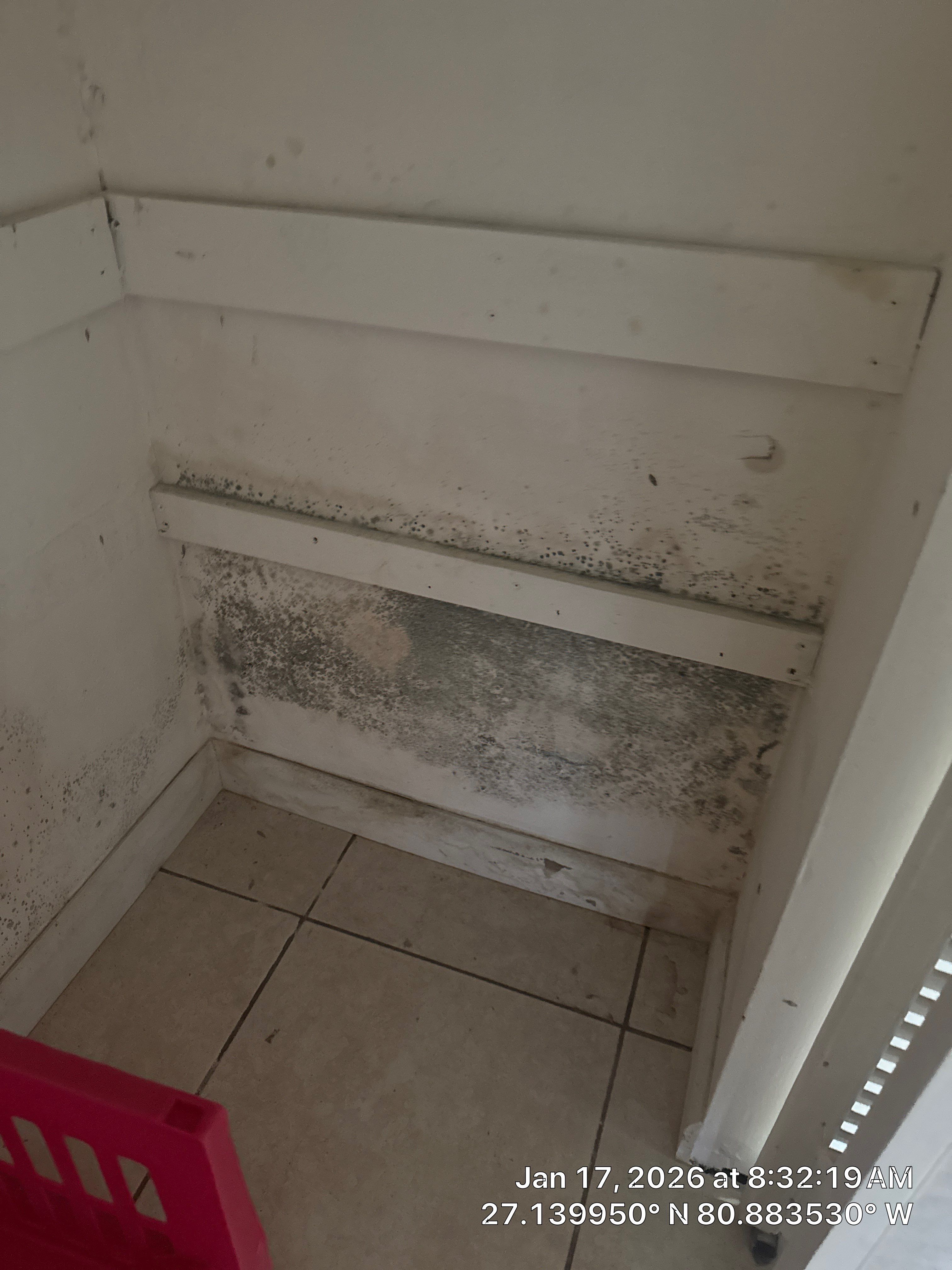 Mold Remediation by SuperClean 