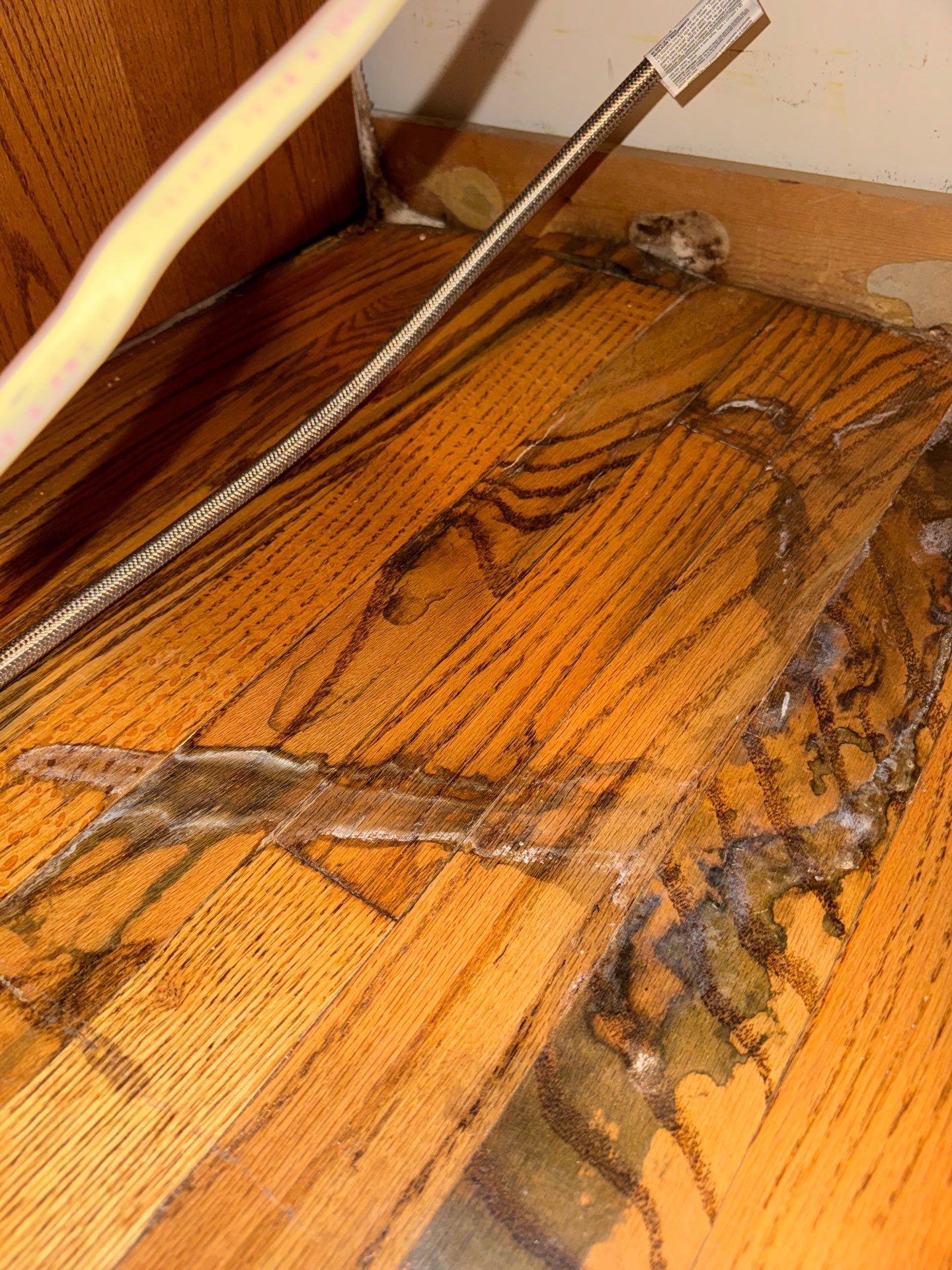 Project in West Bloomfield by EzDry Water Mitigation & Property Restoration