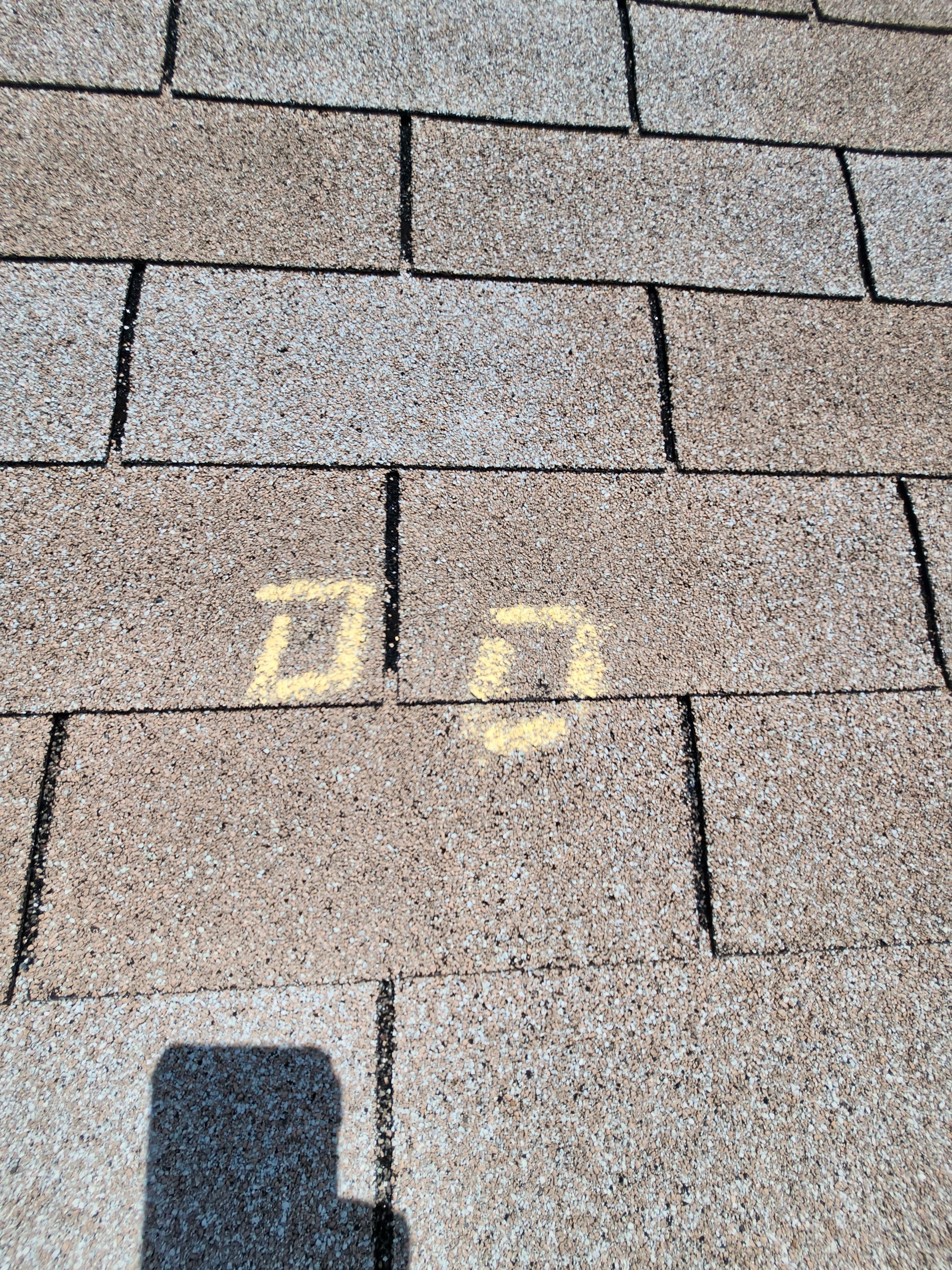 Project in New Port Richey