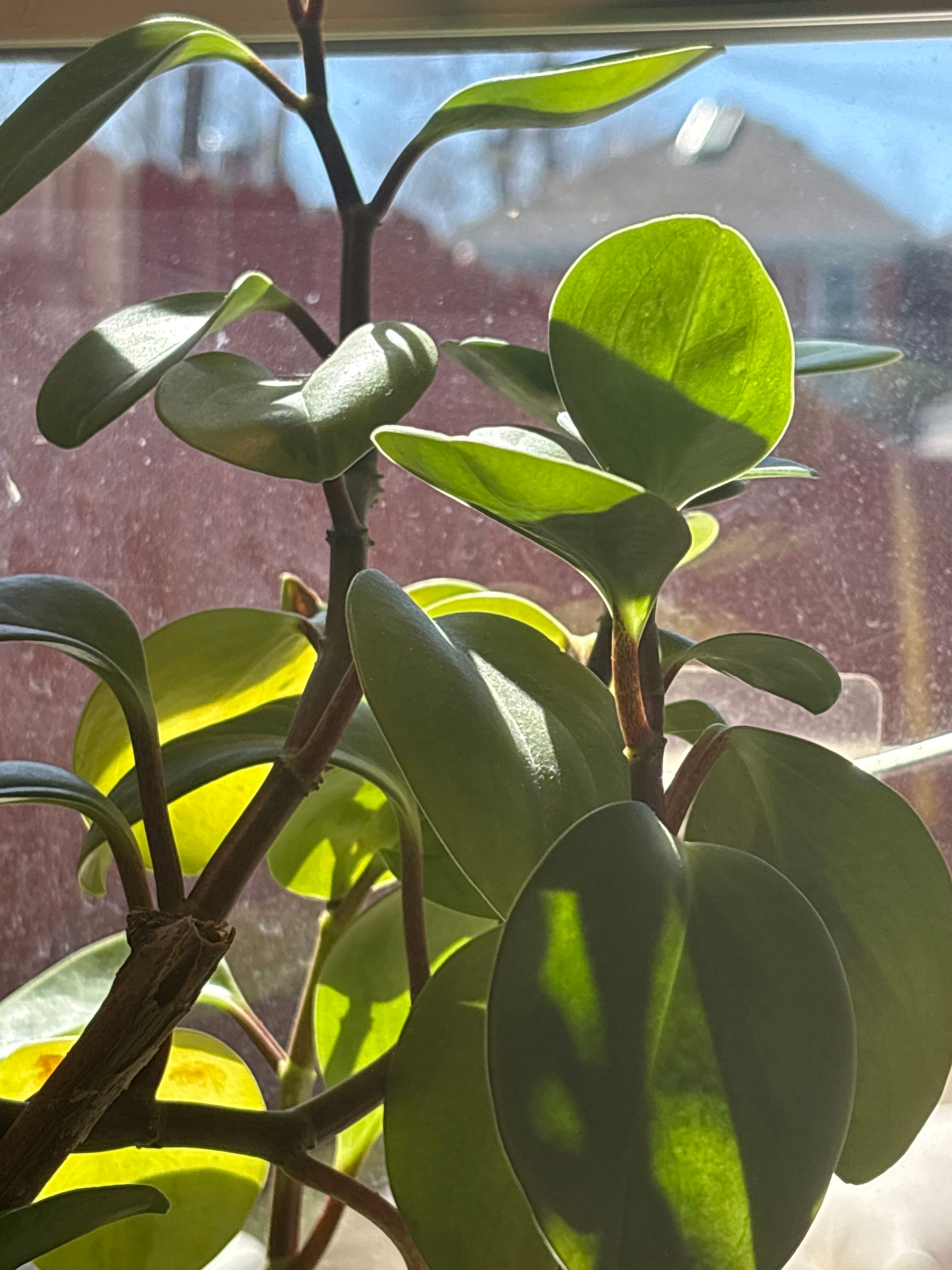 Don Kennedy Roofing featured photo.