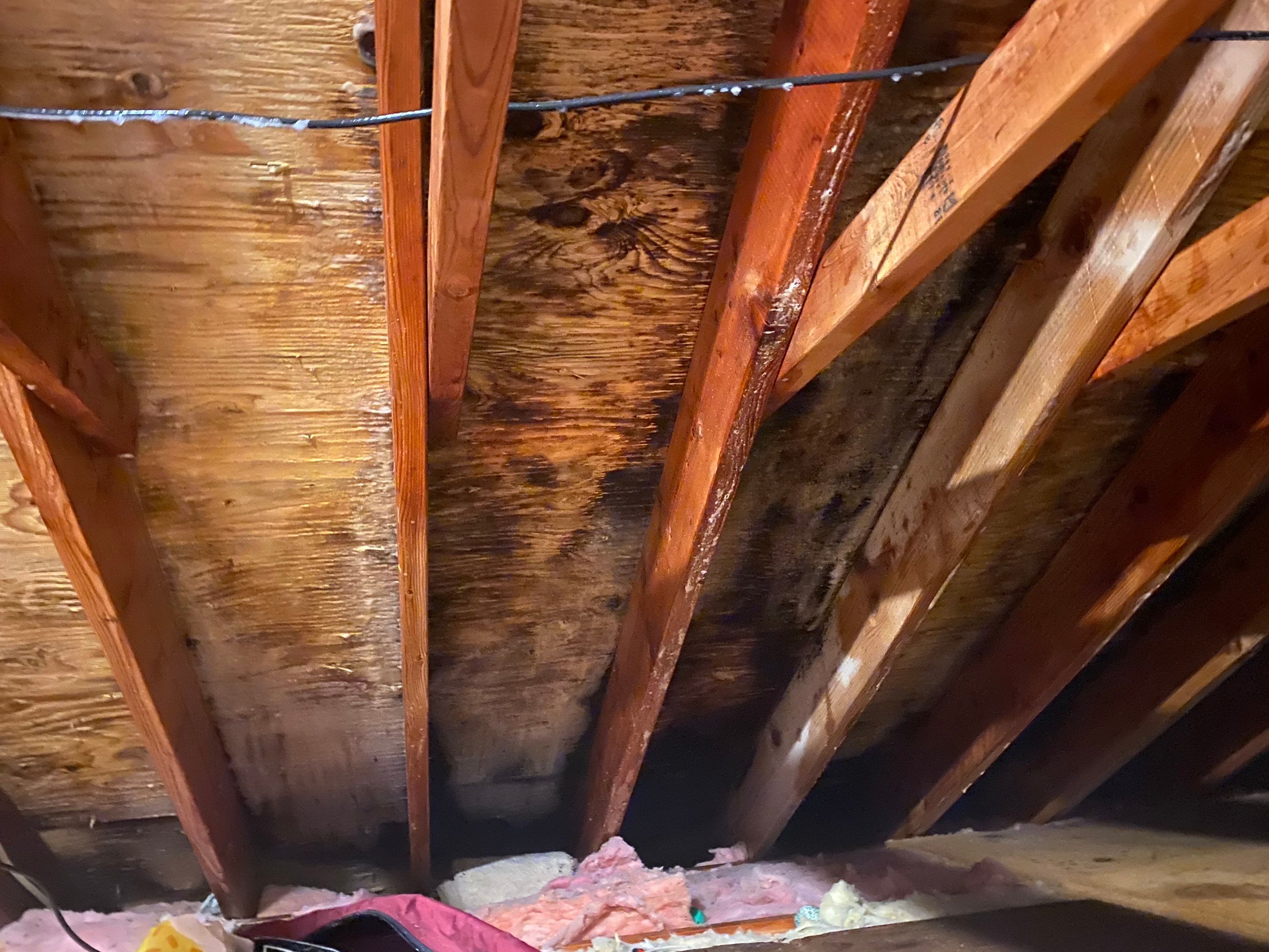 Attic Mold Remediation Job in Vernon Township, NJ by Pure Service Pro, LLC 