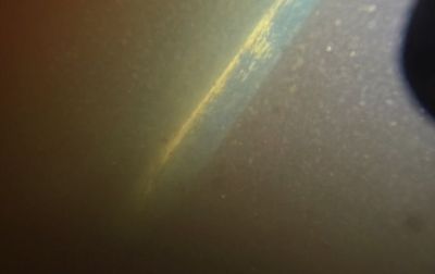 Project in Fort Myers