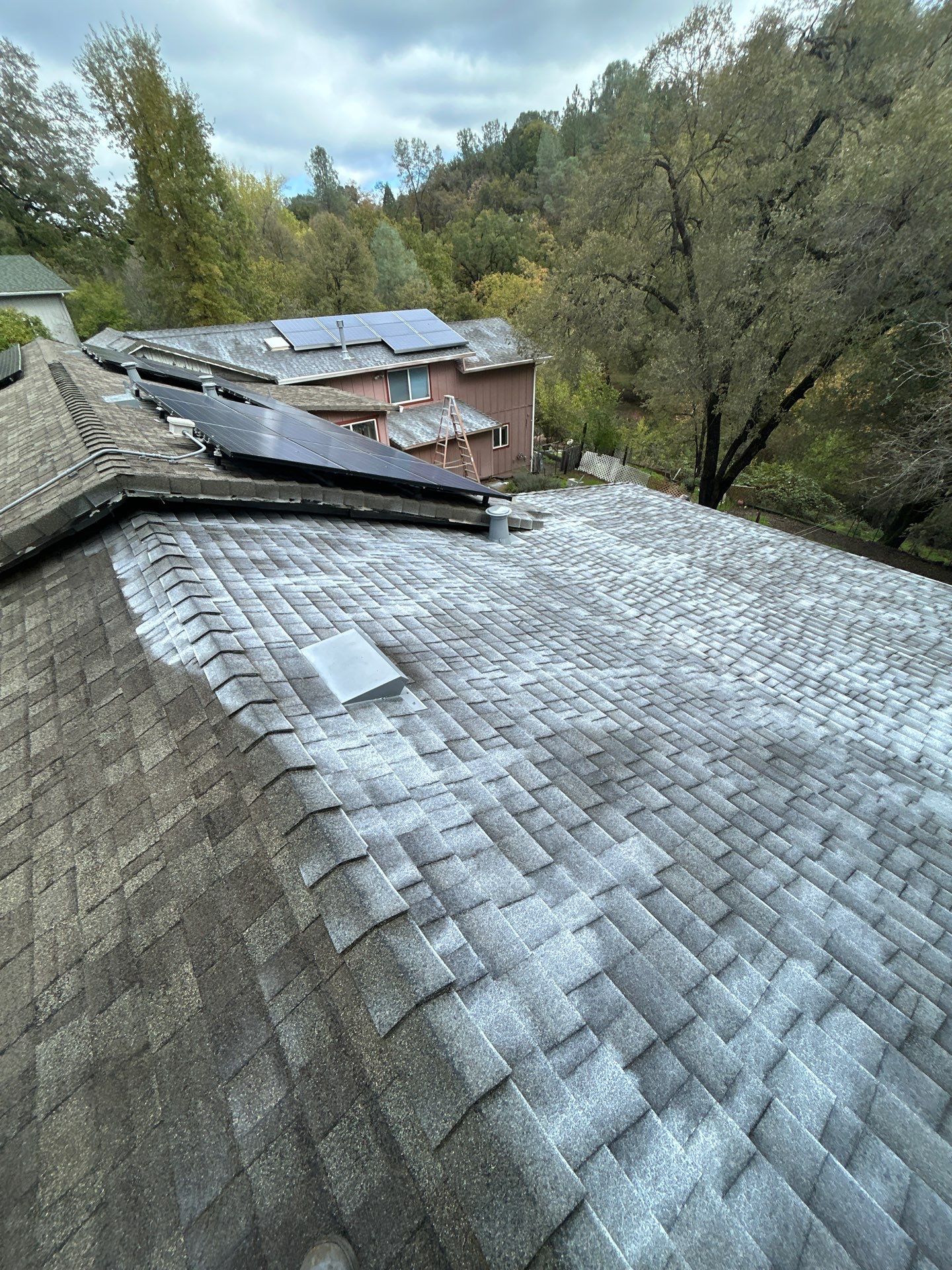 Roof Rejuvenation using Roof Maxx Treatment by Roof Maxx of Folsom
