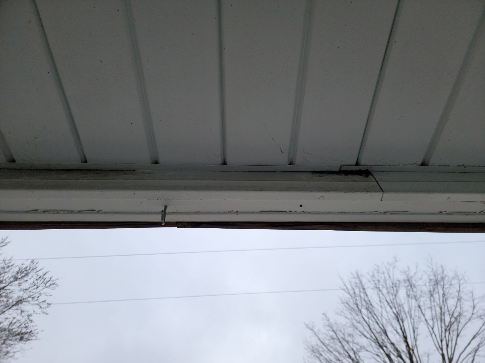SOFFIT AND FASCIA using QE SOFFIT by Avalon Roofing and Exteriors