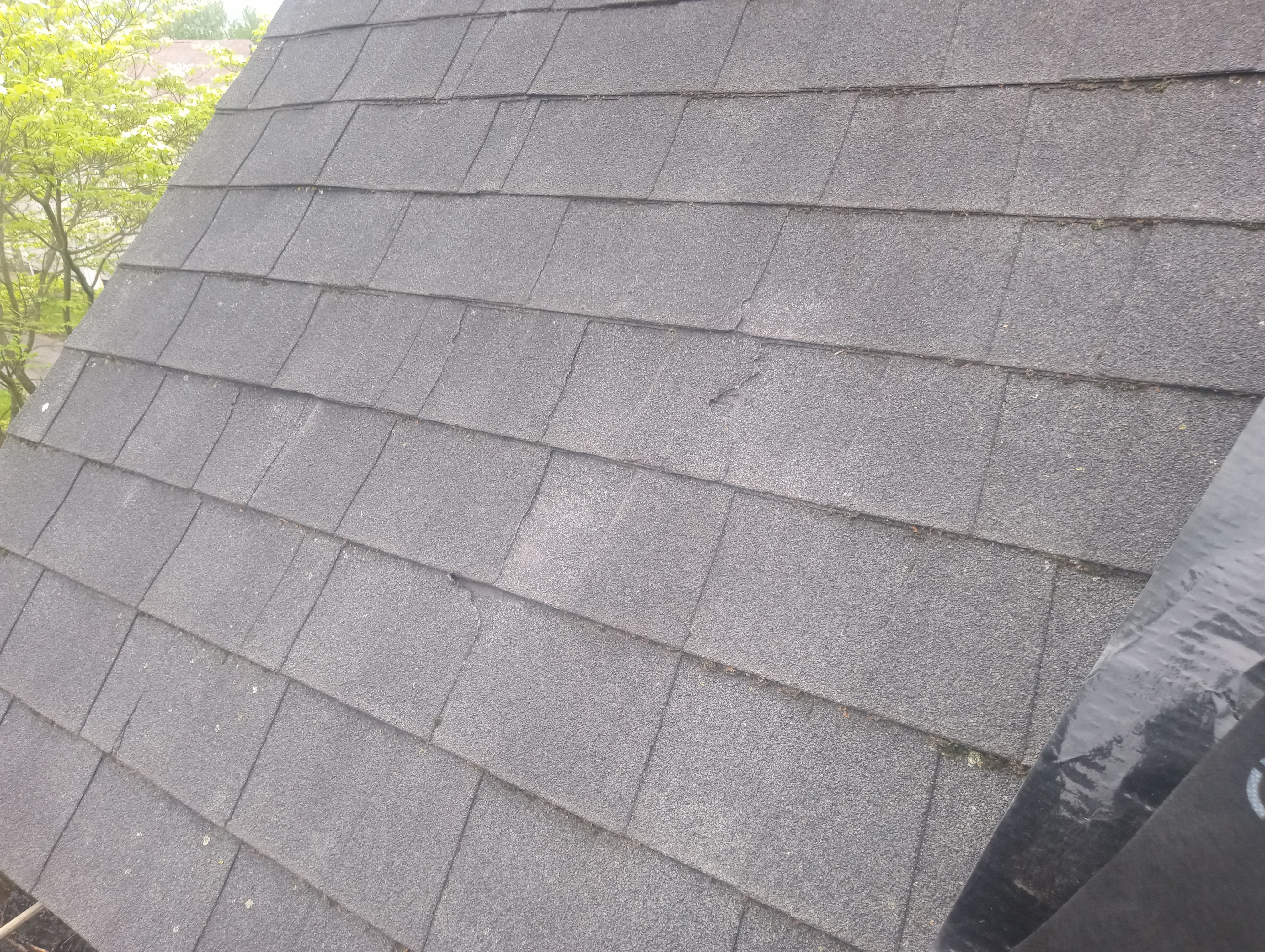 Kristine Becher 1017 by Silver Leaf Contracting 