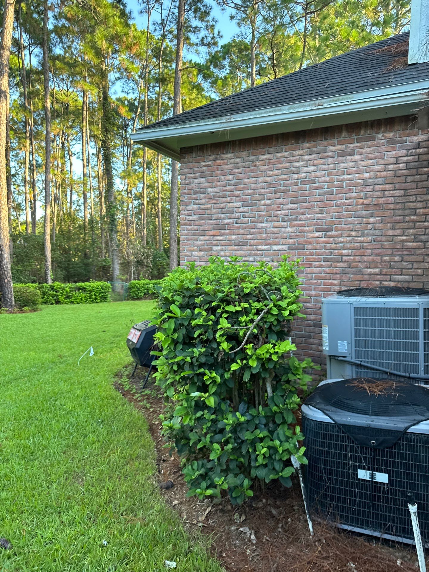 Residential | Shrub Trimming by ProGreen Services