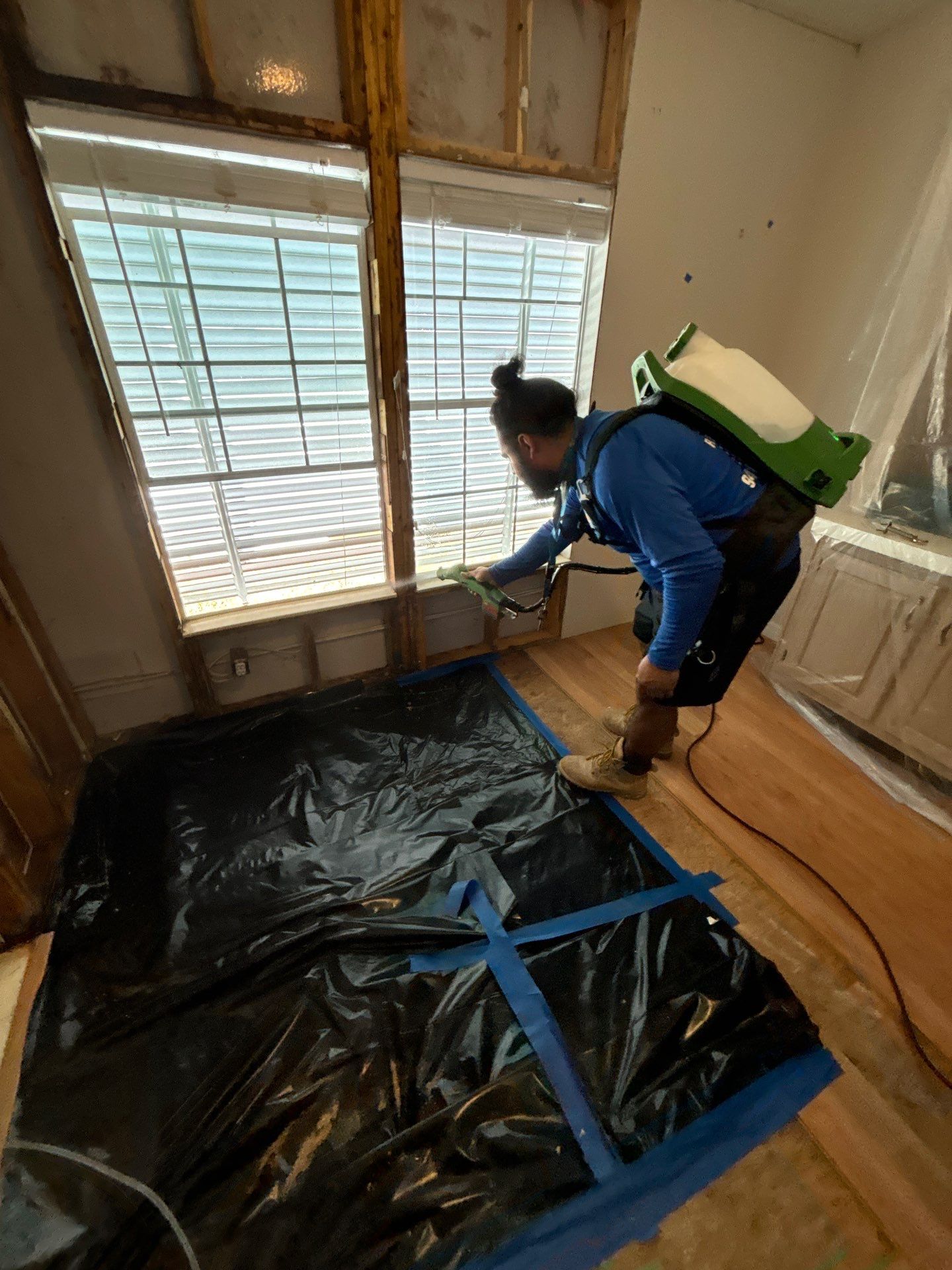 Mold Remediation Palmetto by Ampm Restoration Services 