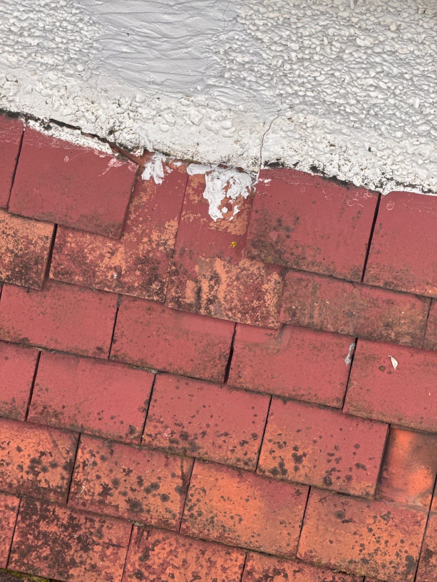 Exterior Clean - Roof - Patio - Driveway using honda 21 ltr/min by Ges Exterior Cleaning ltd