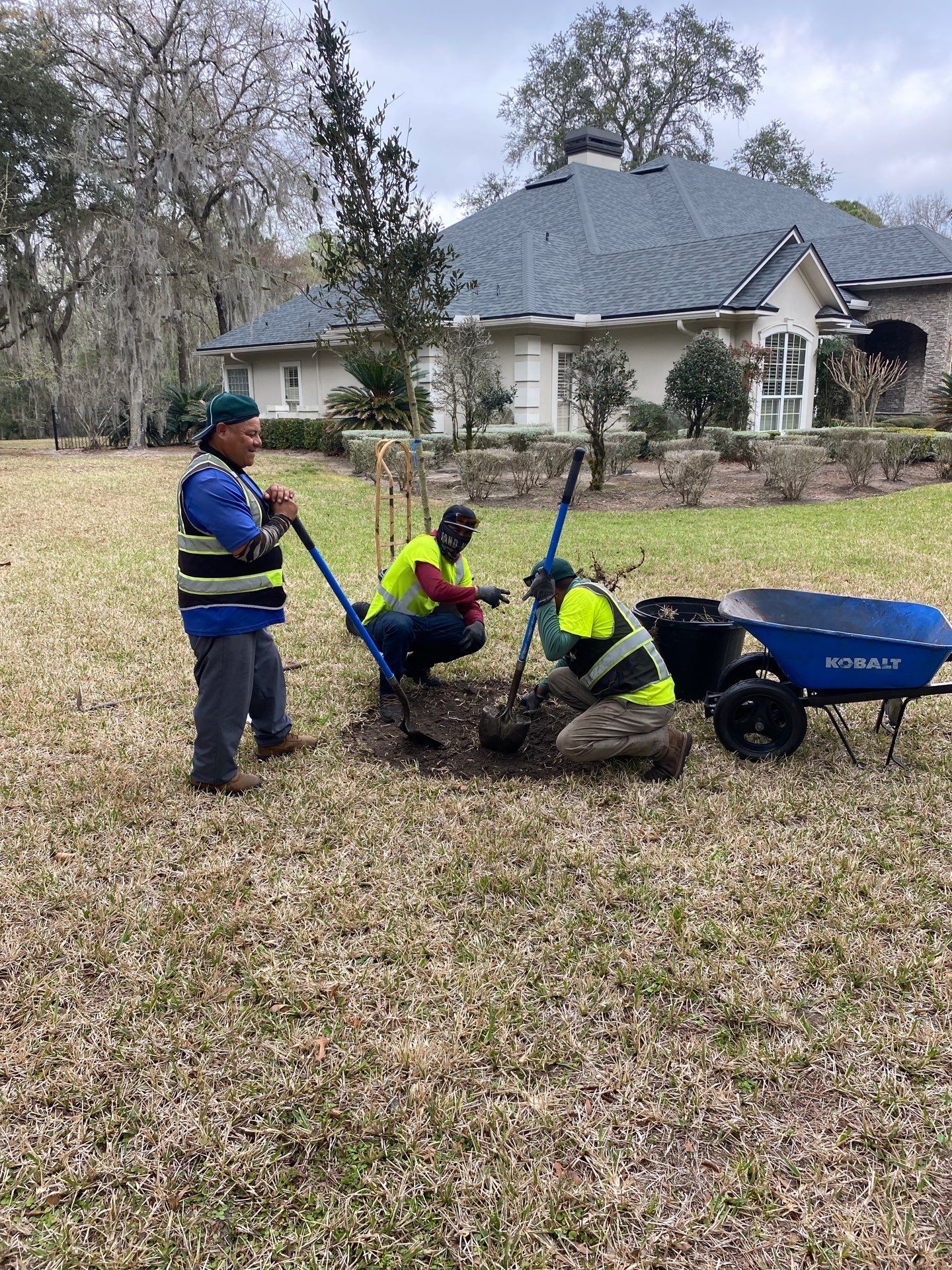 Deerwood Resident | Tree Install by ProGreen Services