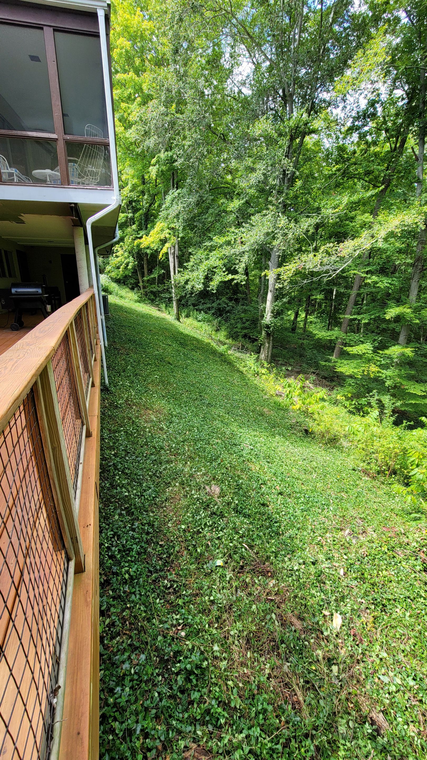 Land Clearing Behind House and Deck by Reisenberg’s Lawn & Landscape, LLC